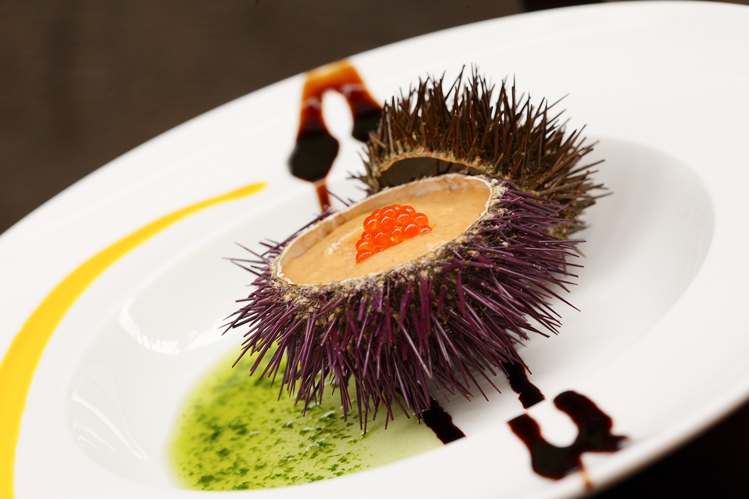 Experience Spain Through All Five Senses: An Expert Guide to Its Regions