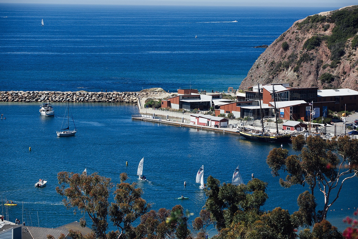 Dana Point: Ultimate Guide to Surfing, Whale Watching, and Laid-Back Beach Bliss in Orange County