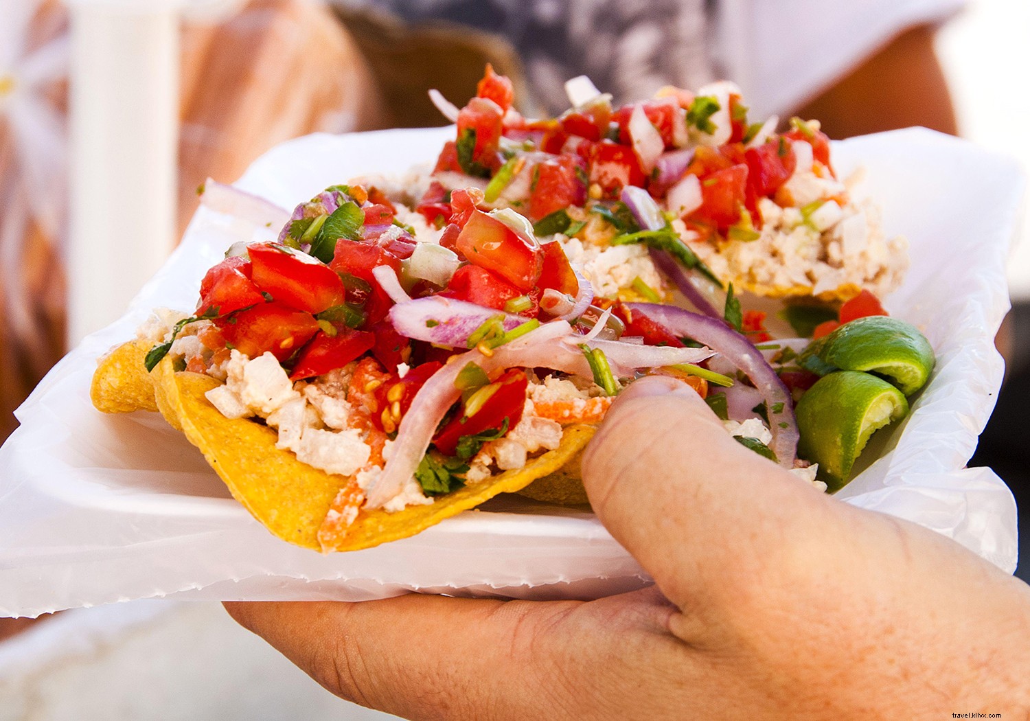 Puerto Vallarta Insider Guide: Must-Do Tips for First-Timers and Repeat Visitors