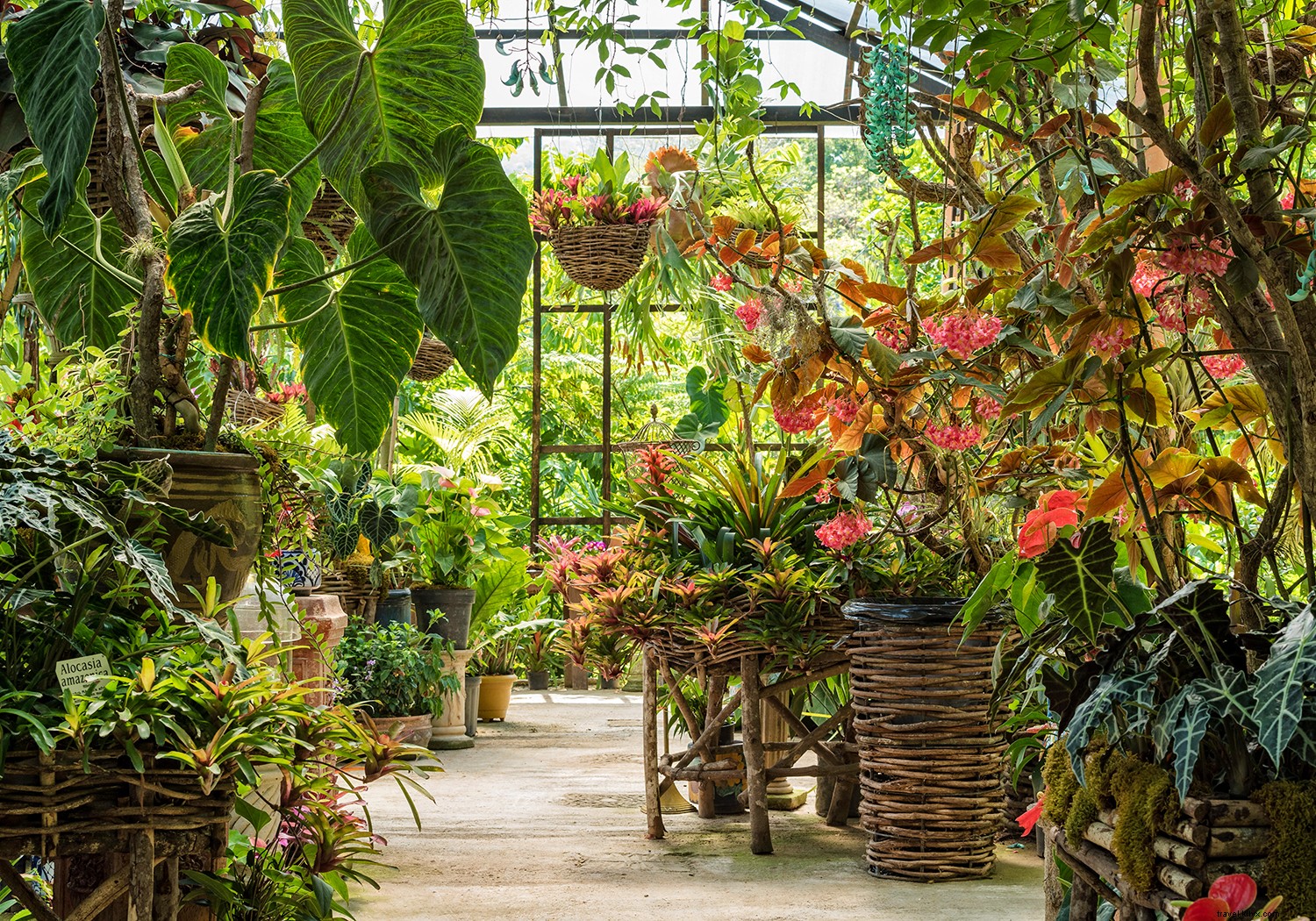 Puerto Vallarta Insider Guide: Must-Do Tips for First-Timers and Repeat Visitors