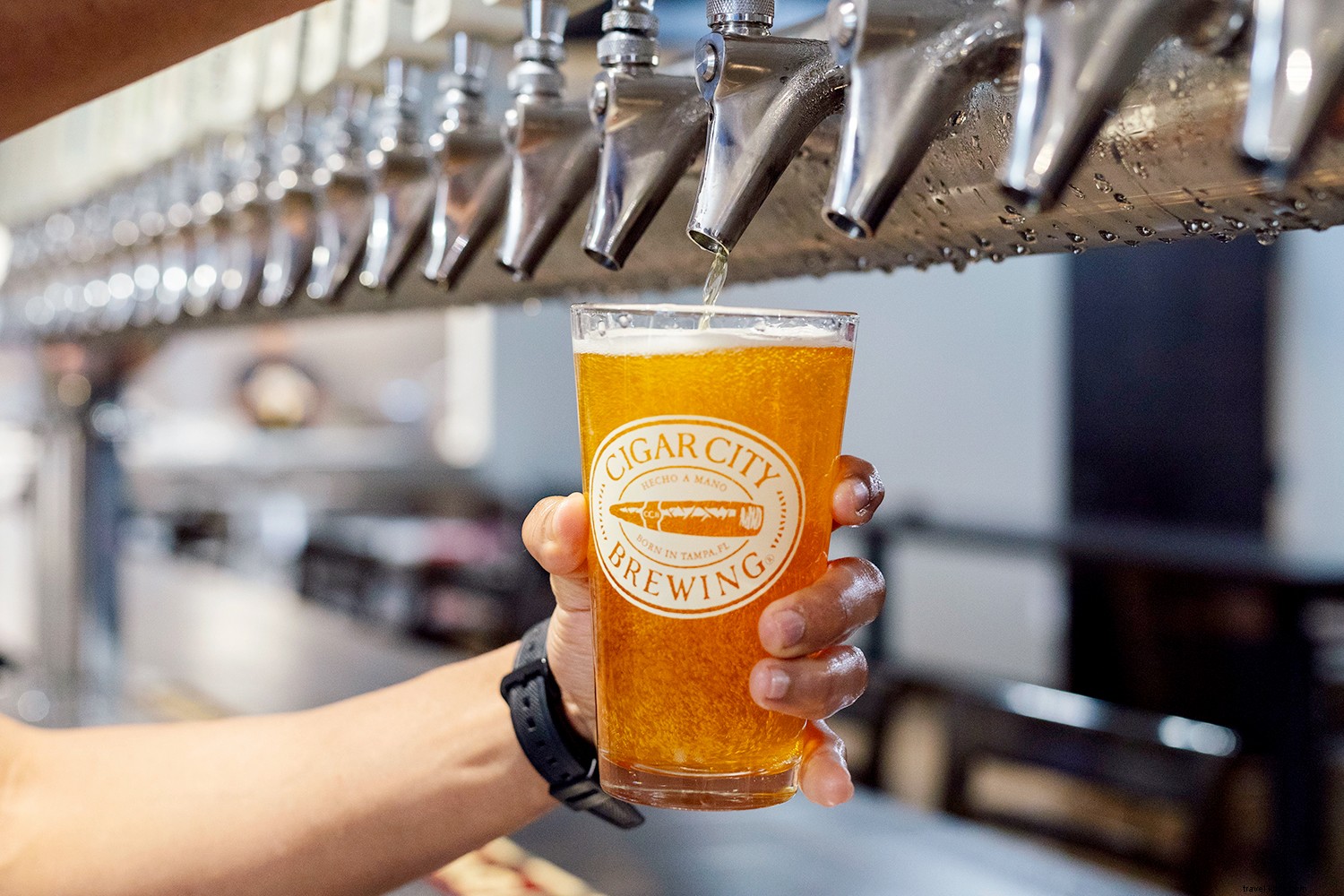 Tampa Bay: Florida s Premier Gulf Coast Vacation Destination on a Winning Streak