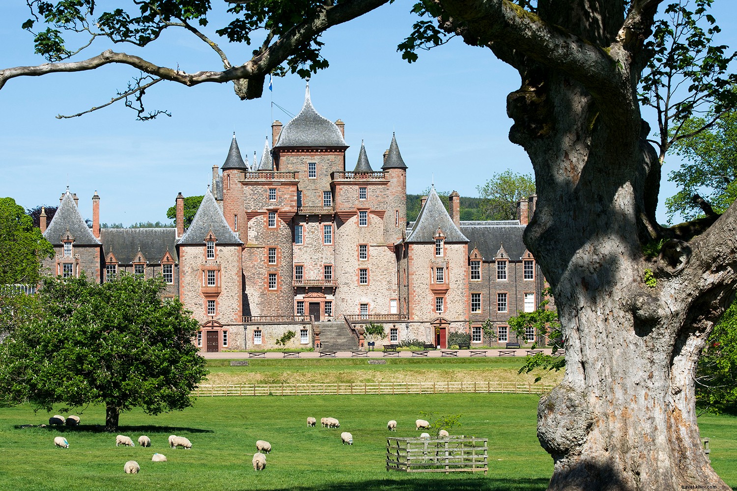 Unveiling Scotland s Unique Allure: Whisky, Wildlife, Ancient Stones, Castles, and Legendary Golf
