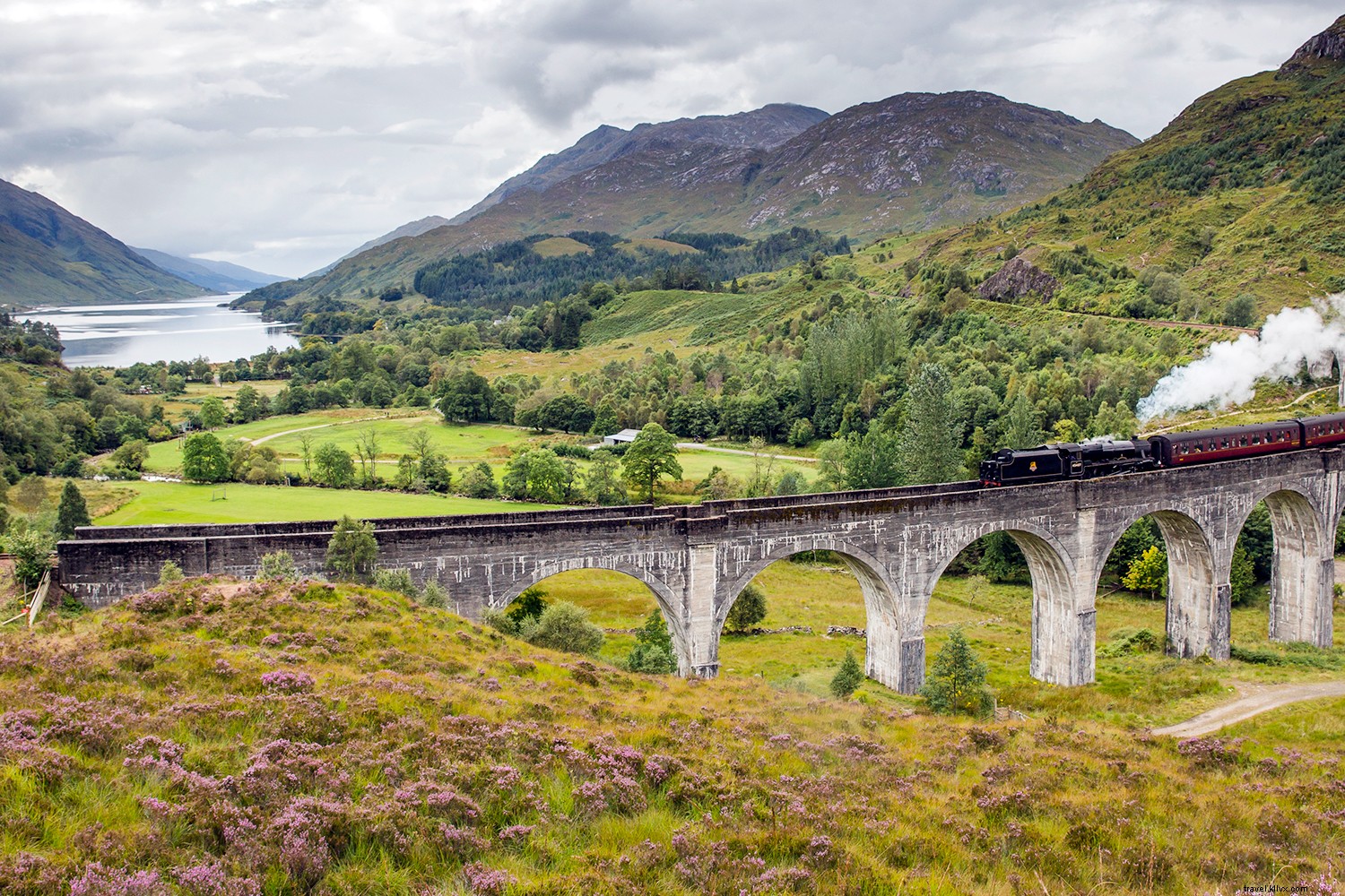 Unveiling Scotland s Unique Allure: Whisky, Wildlife, Ancient Stones, Castles, and Legendary Golf