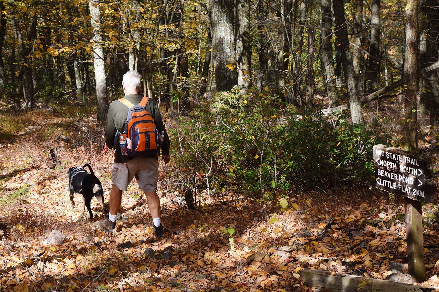 Discover Pennsylvania s Happy Valley: Outdoor Adventures, Rich History, and Local Delights