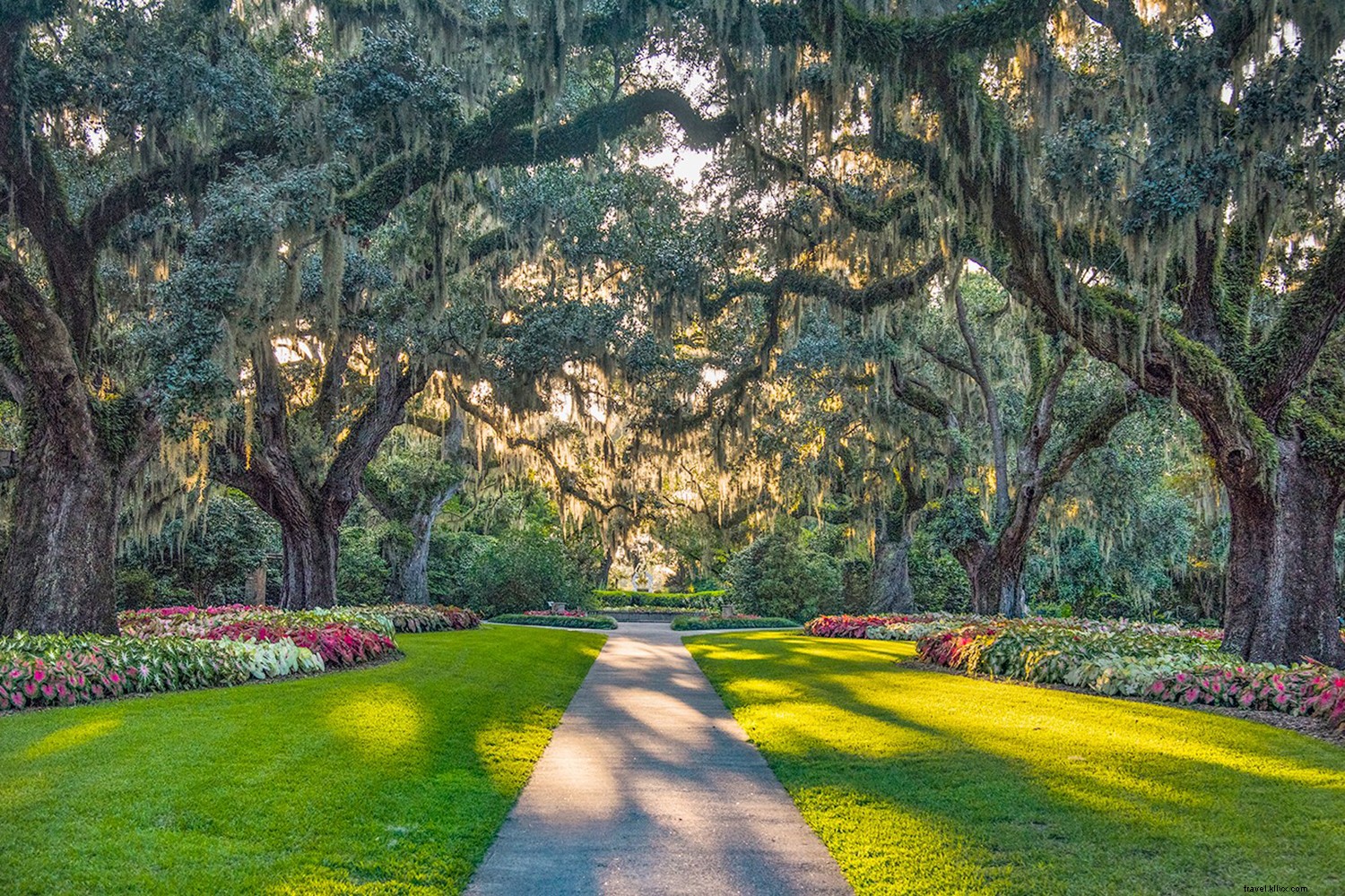 Myrtle Beach: The Ultimate Spring Beach Escape on South Carolina s Grand Strand