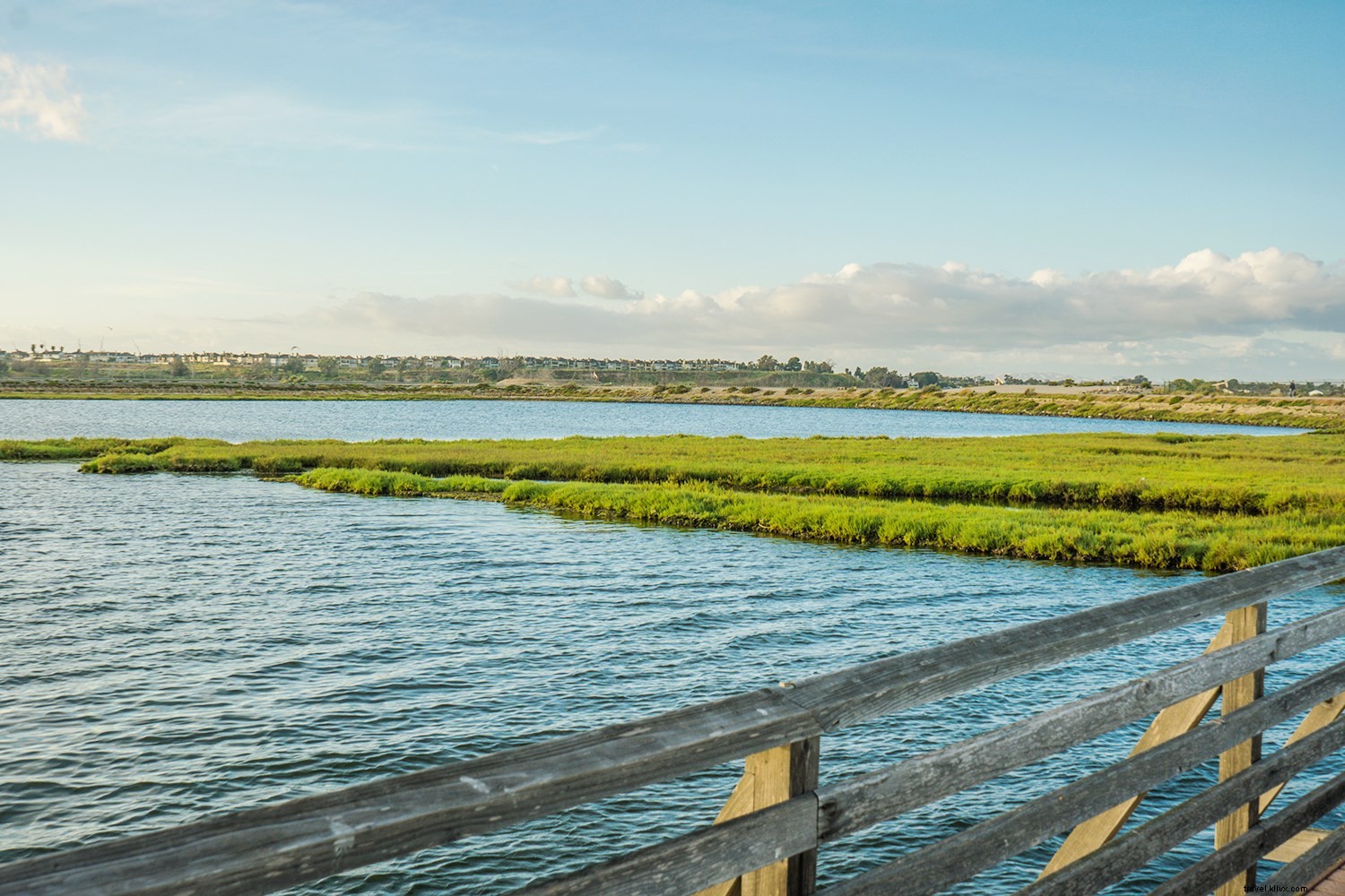 Myrtle Beach: The Ultimate Spring Beach Escape on South Carolina s Grand Strand