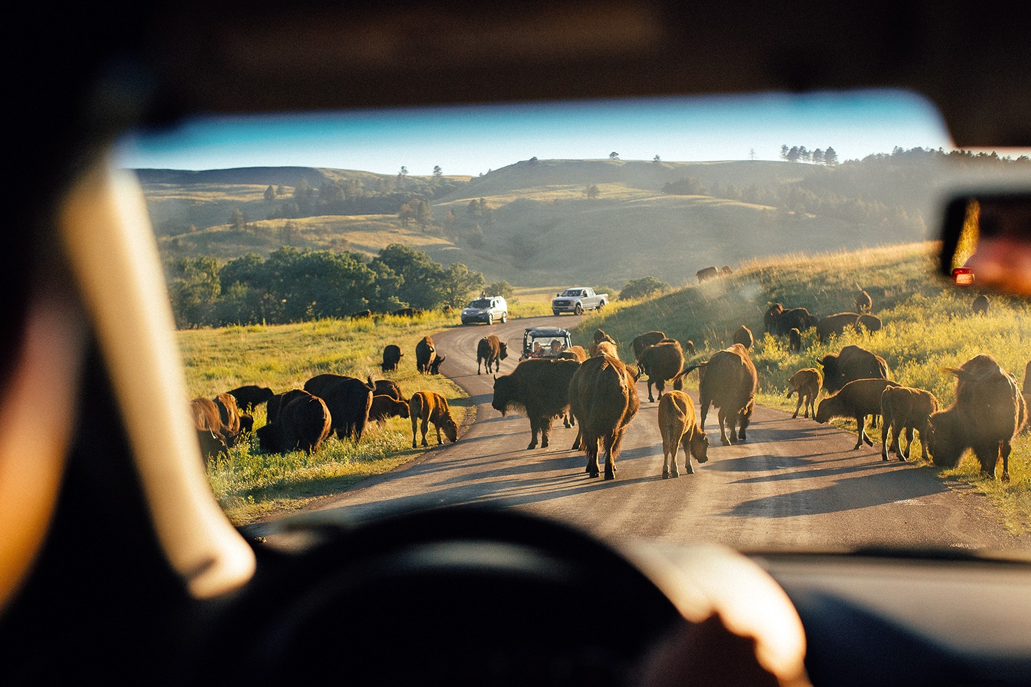 Ultimate South Dakota Road Trip: Iconic Must-Sees and Hidden Gems