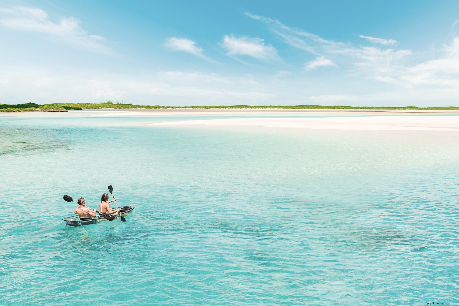 8 Unmissable Experiences in The Bahamas: Wildlife, Blue Holes, and Pristine Beaches
