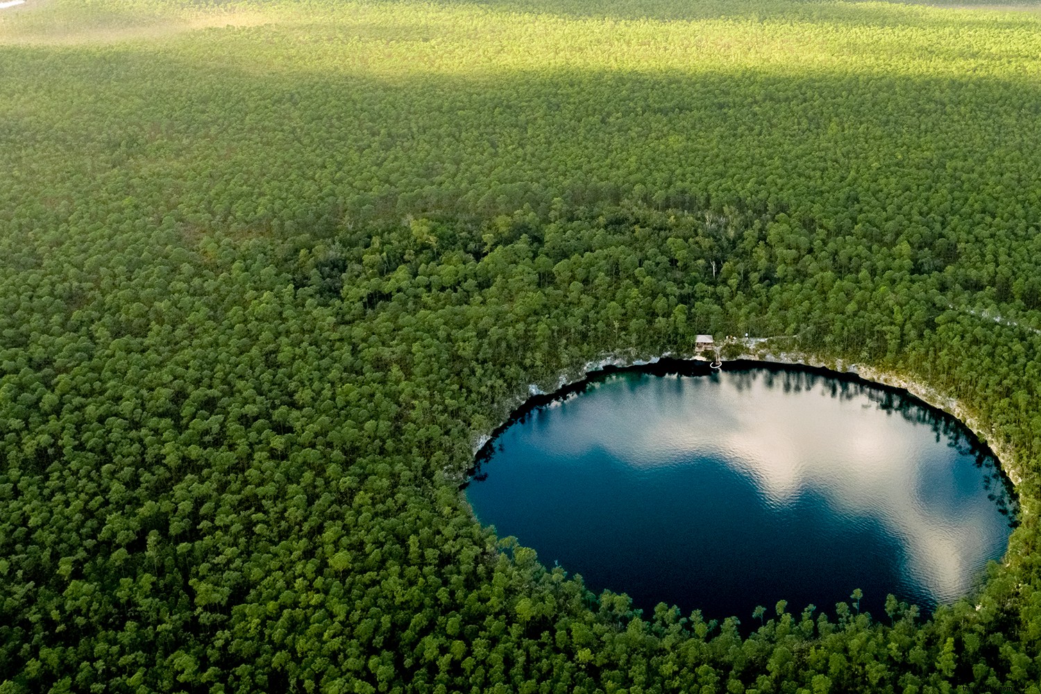 8 Unmissable Experiences in The Bahamas: Wildlife, Blue Holes, and Pristine Beaches