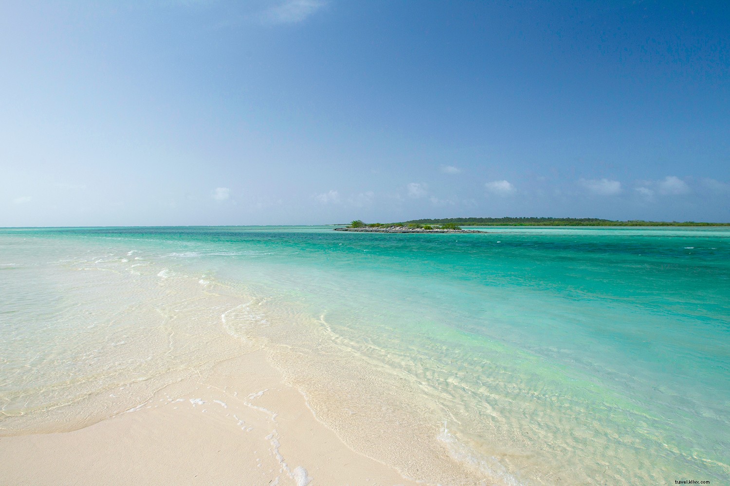 8 Unmissable Experiences in The Bahamas: Wildlife, Blue Holes, and Pristine Beaches
