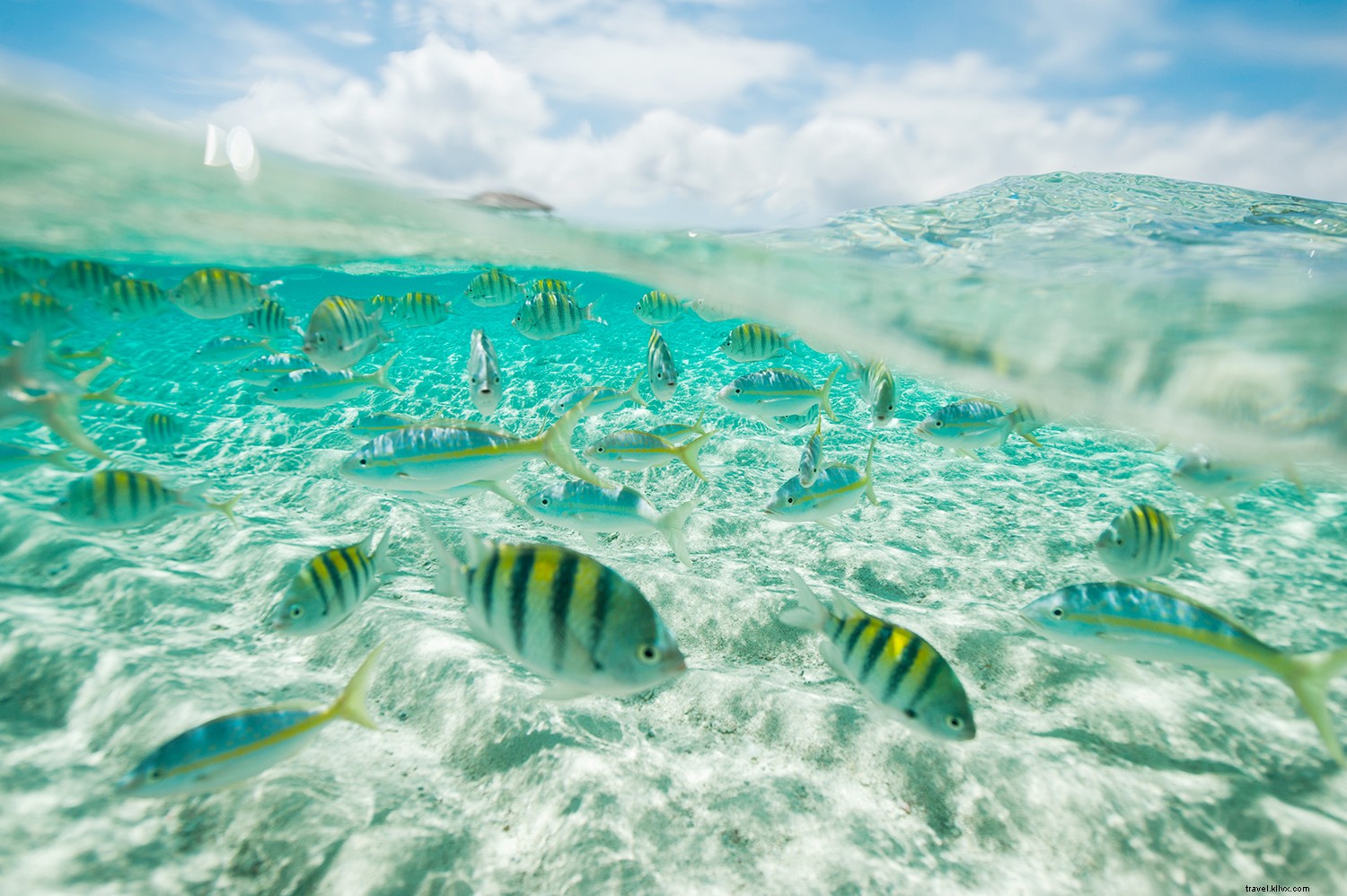 Dominican Republic: The Ultimate Caribbean Bucket-List Destination