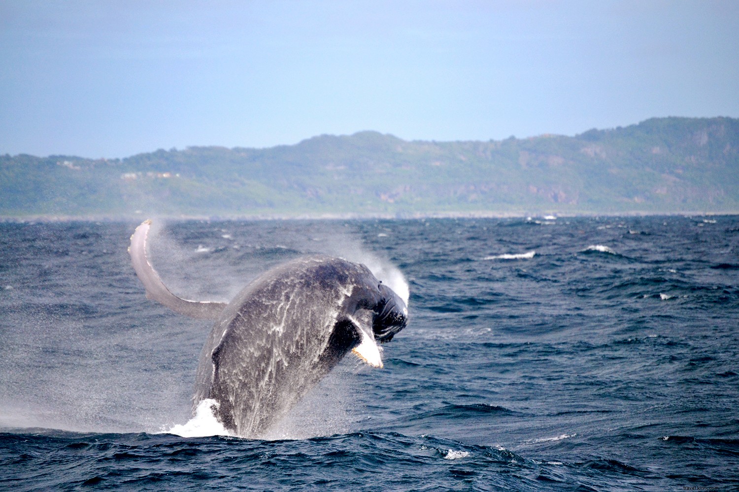 Dominican Republic: The Ultimate Caribbean Bucket-List Destination