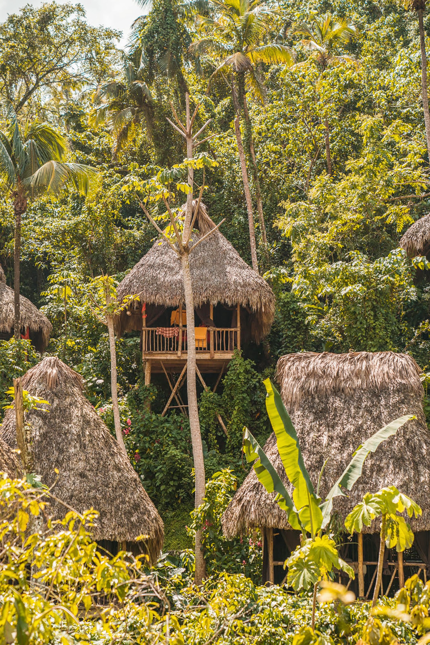 Dominican Republic: The Ultimate Caribbean Bucket-List Destination