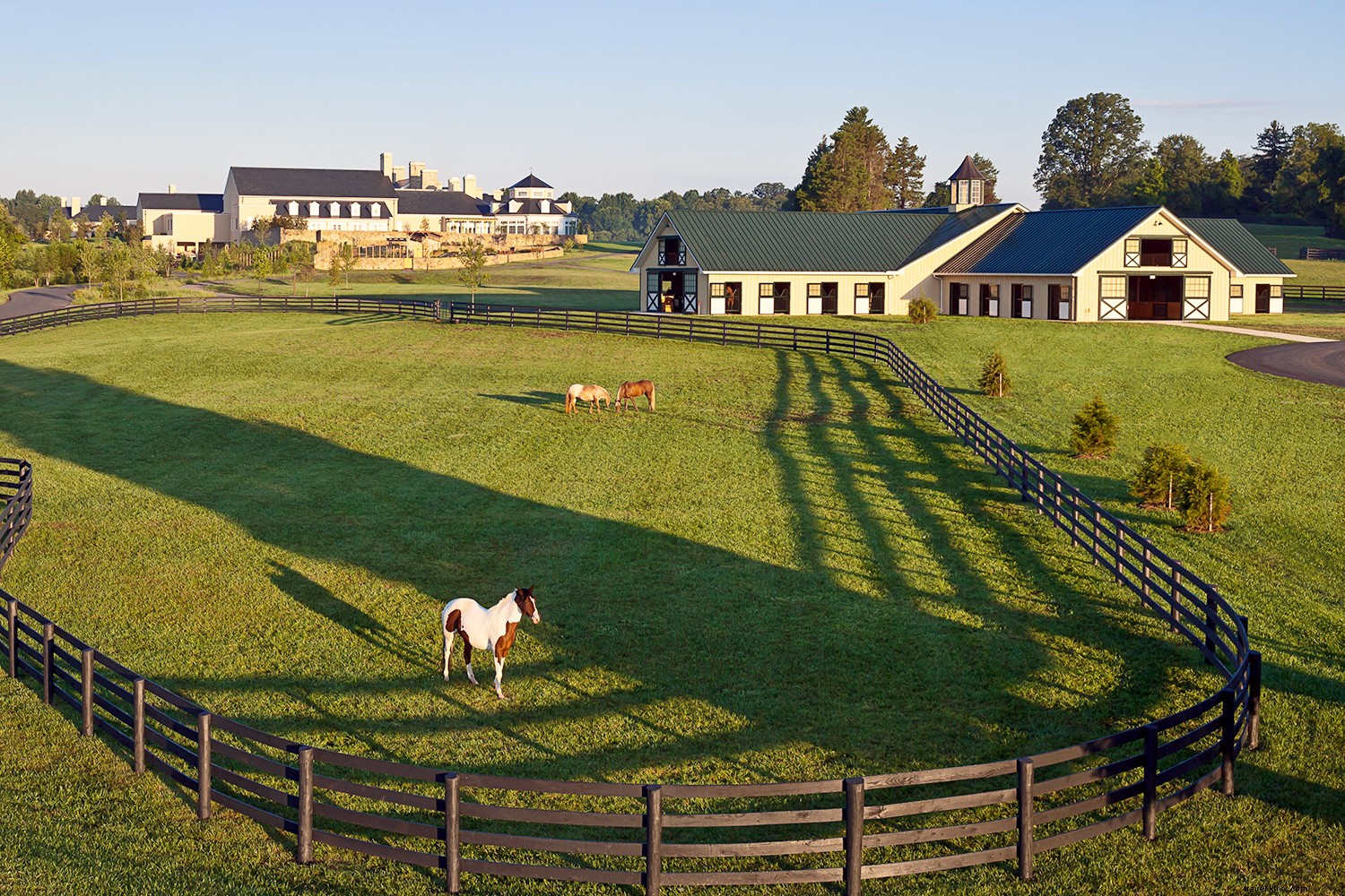 Spotlight: Sheila Johnson, Trailblazing Founder of Salamander Hotels & Resorts