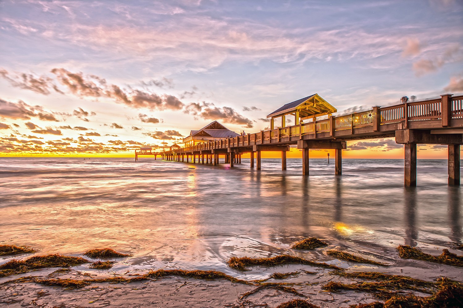 Tampa Bay vs. Los Angeles: Which West Coast Destination Wins? Sunsets, Beaches & Adventures Compared