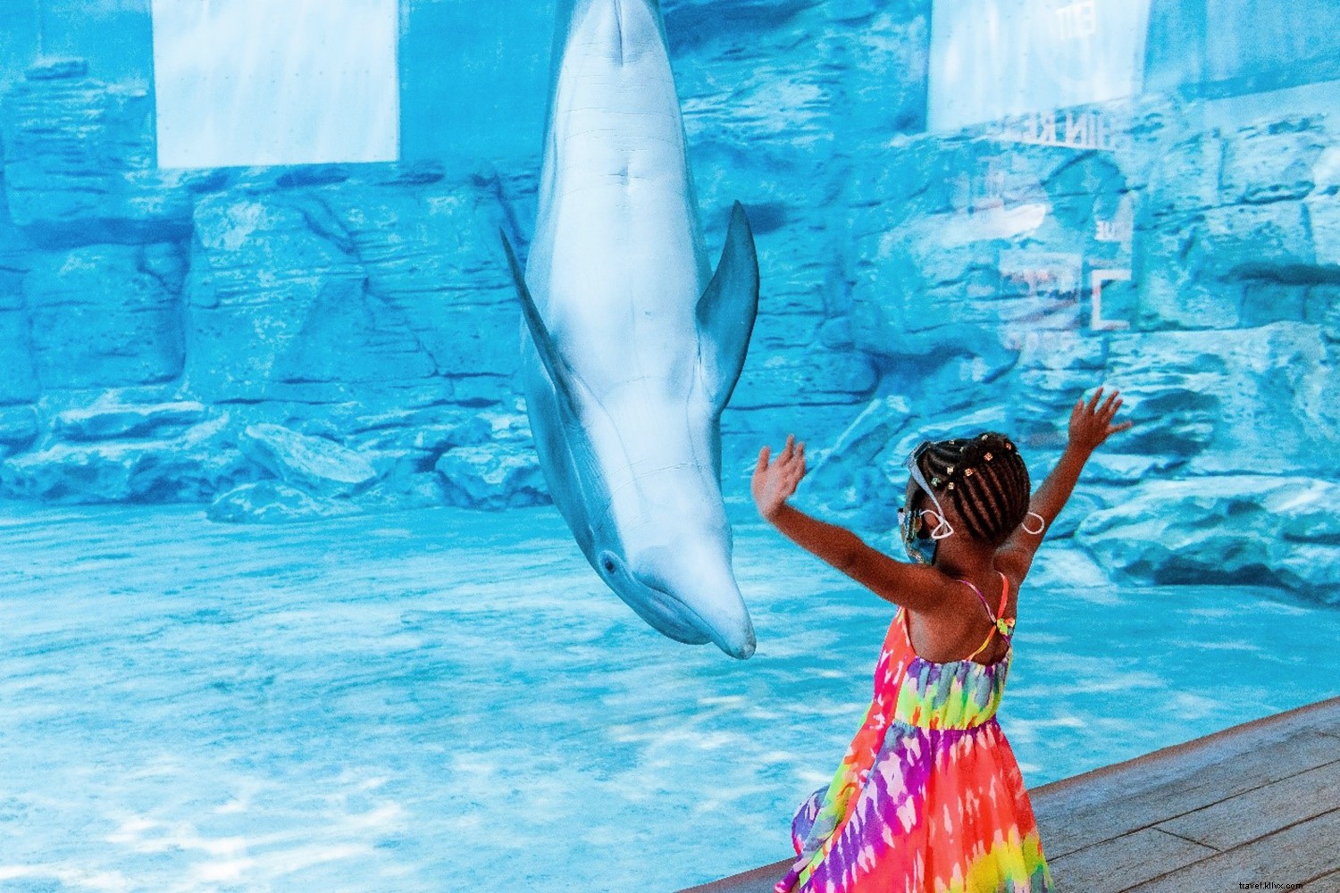 Tampa Bay vs. Los Angeles: Which West Coast Destination Wins? Sunsets, Beaches & Adventures Compared