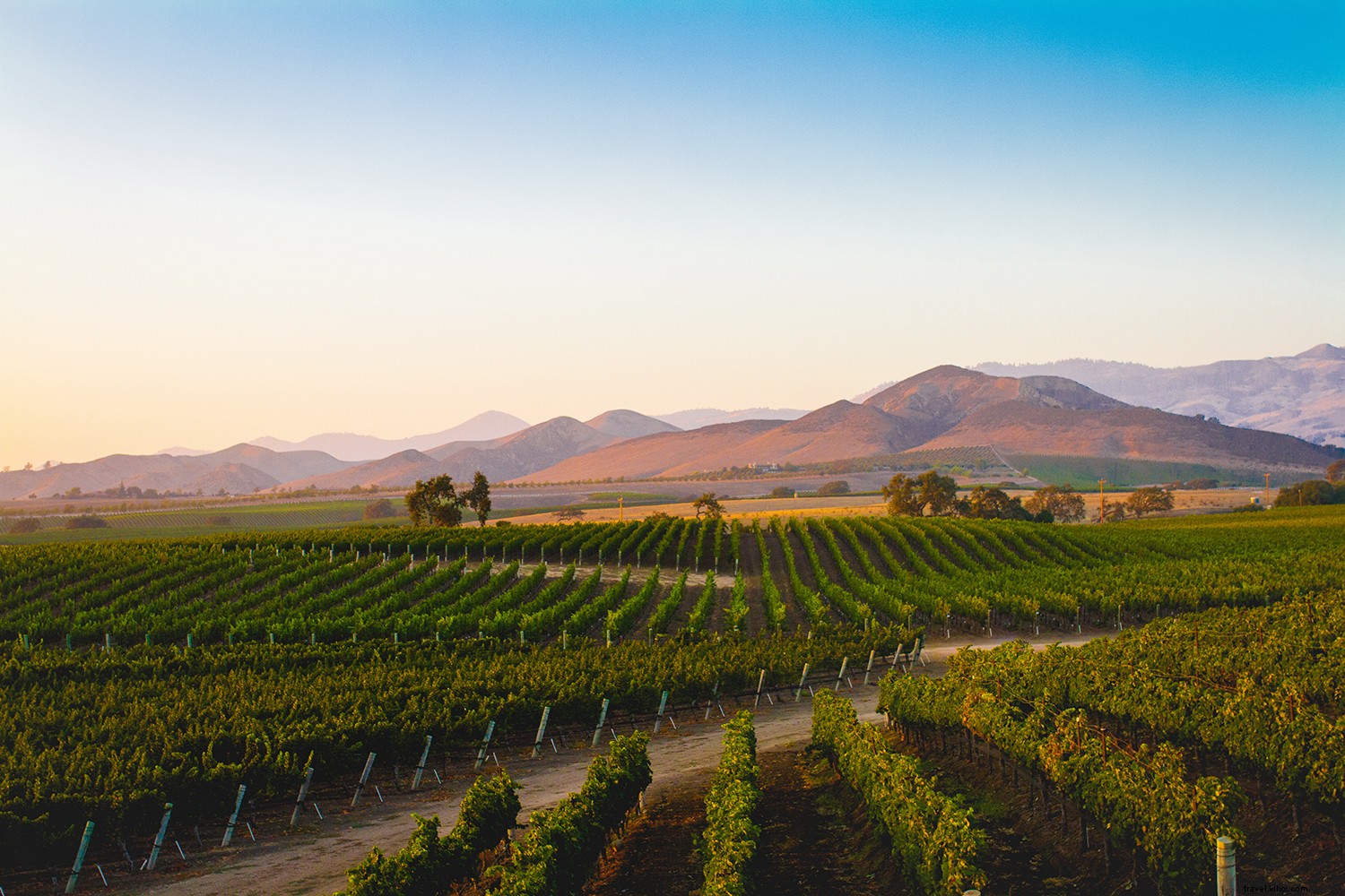 Tampa Bay vs. Los Angeles: Which West Coast Destination Wins? Sunsets, Beaches & Adventures Compared