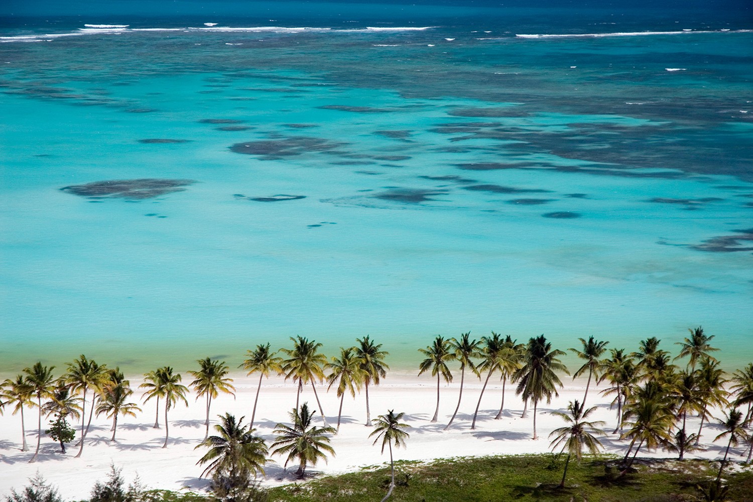 8 Best Beaches in the Dominican Republic: Ultimate Guide to Paradise Escapes