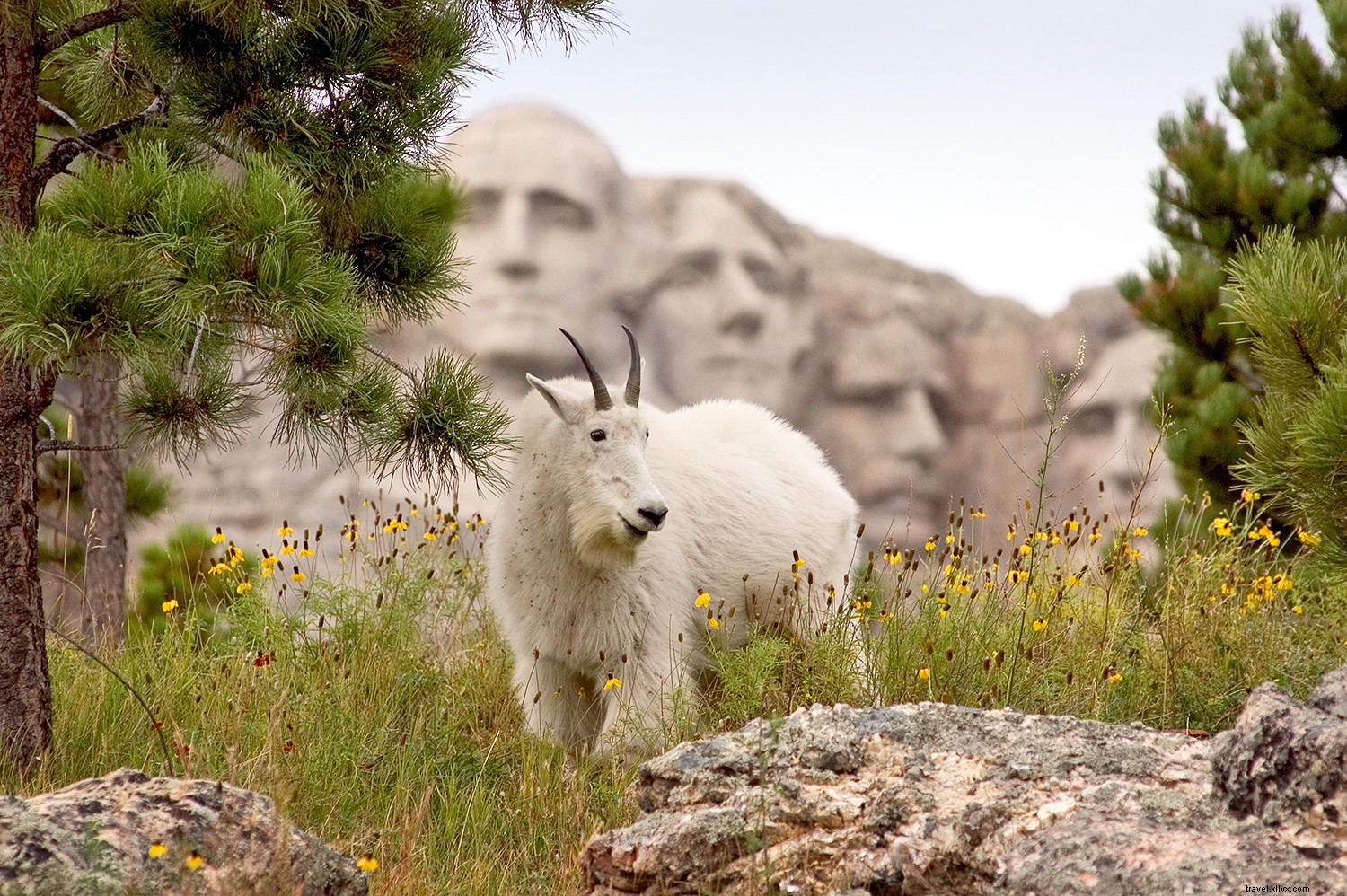 South Dakota s Great 8: Iconic Road Trip Destinations in the Mount Rushmore State