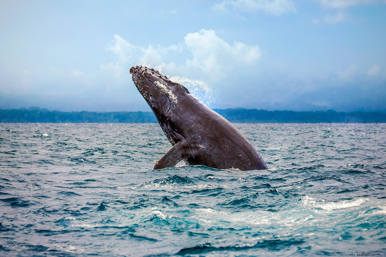 10 Essential Ways to Rediscover Costa Rica s True Essence: Travel Guide