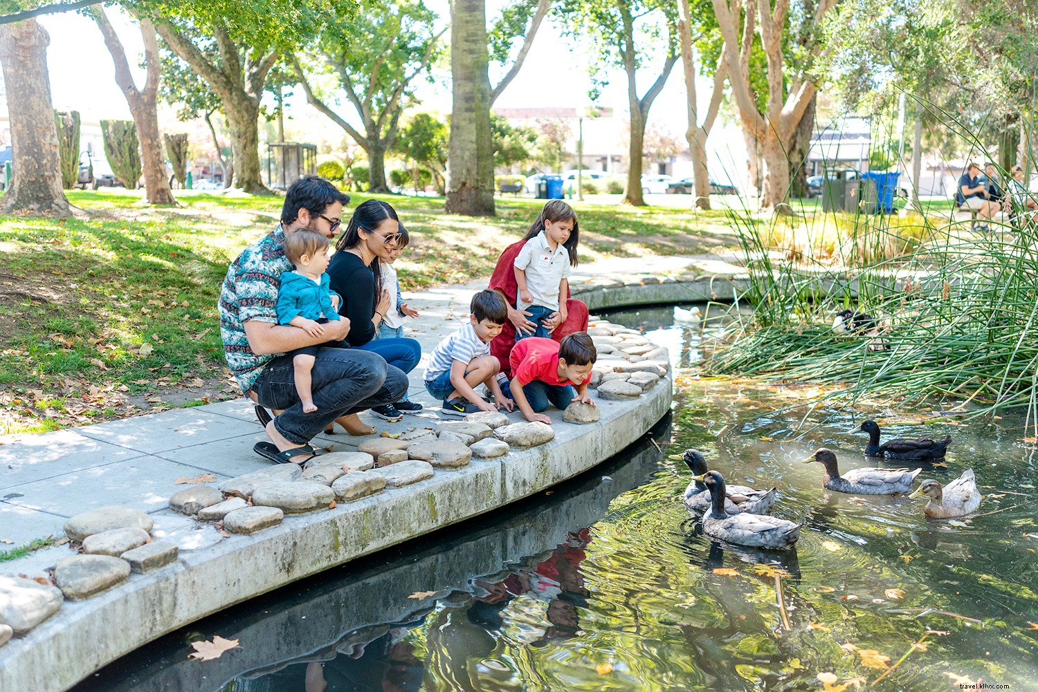 7 Ways to Unplug and Reconnect in Sonoma Valley: Your Guide to Wine Country Escapes