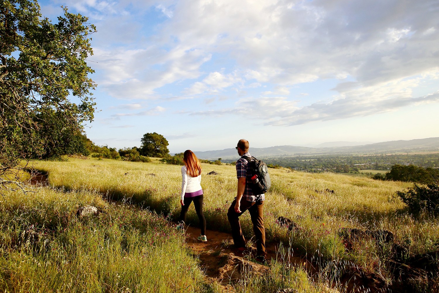 7 Ways to Unplug and Reconnect in Sonoma Valley: Your Guide to Wine Country Escapes