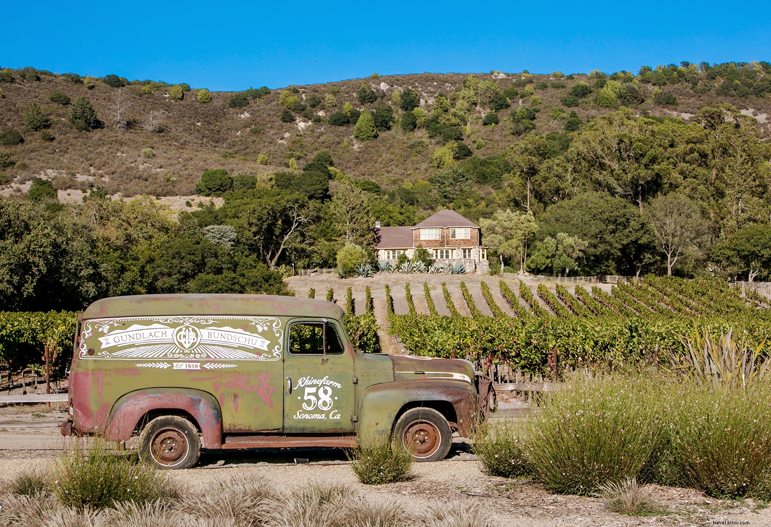 7 Ways to Unplug and Reconnect in Sonoma Valley: Your Guide to Wine Country Escapes