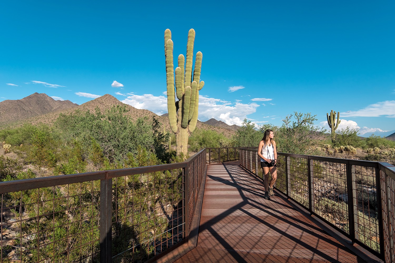 Discover Scottsdale: 8 Essential Ways to Experience This Desert Gem Inside and Out