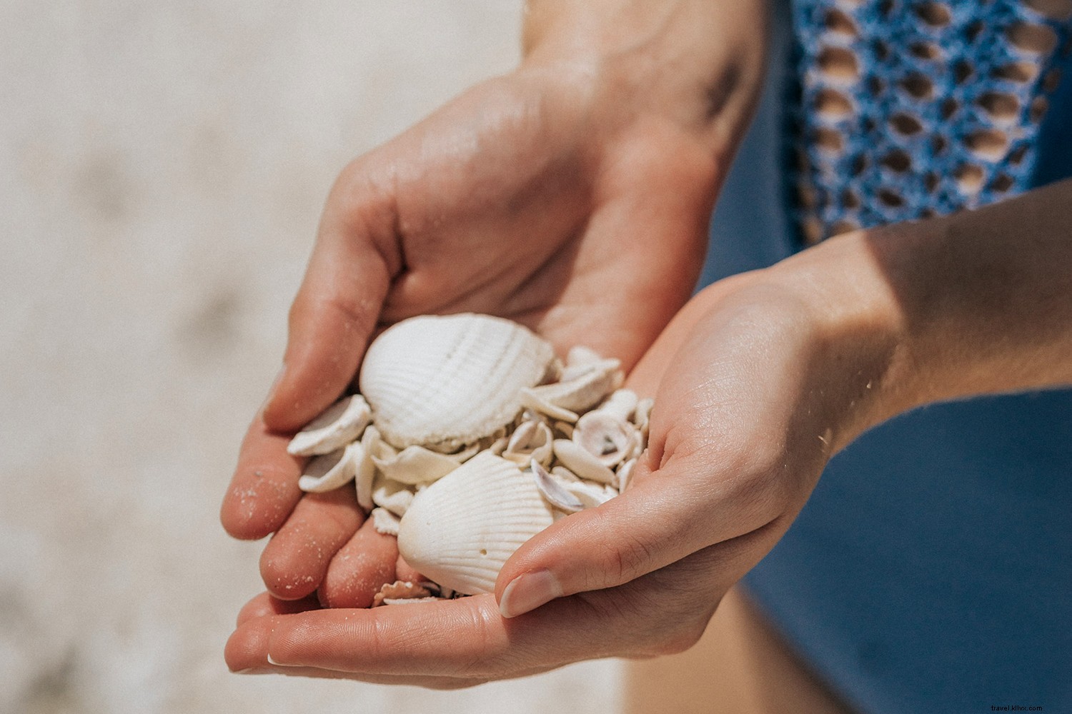 5 Days of Pure Bliss: The Ultimate Guide to Fort Myers & Sanibel Beaches