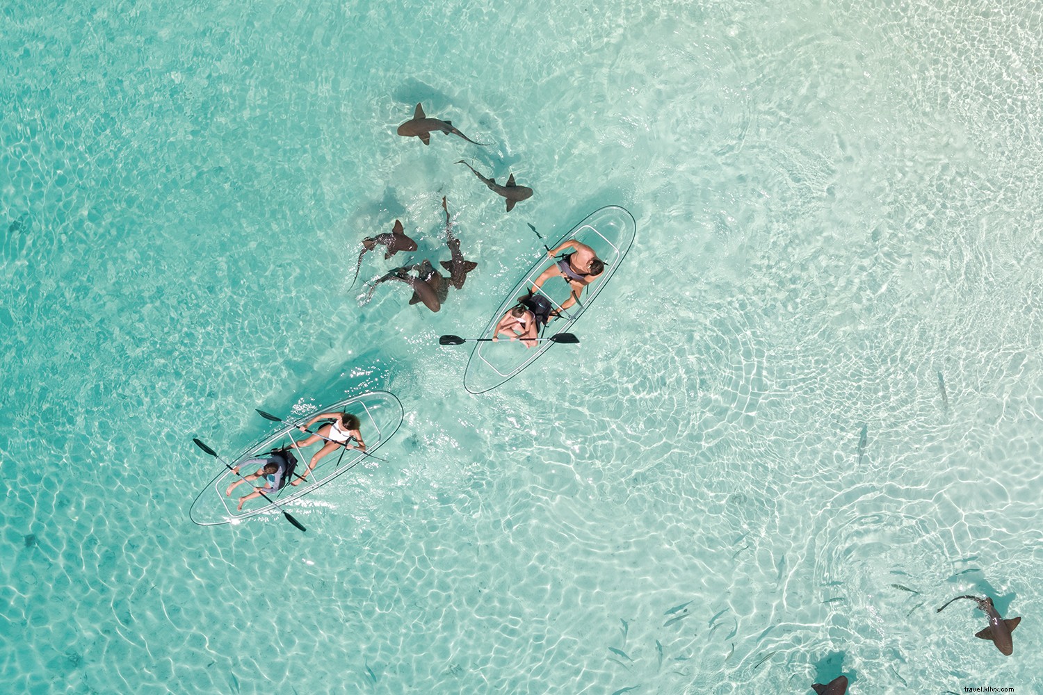 Discover Your Perfect Island in The Bahamas: Paradise Just Steps from the U.S.