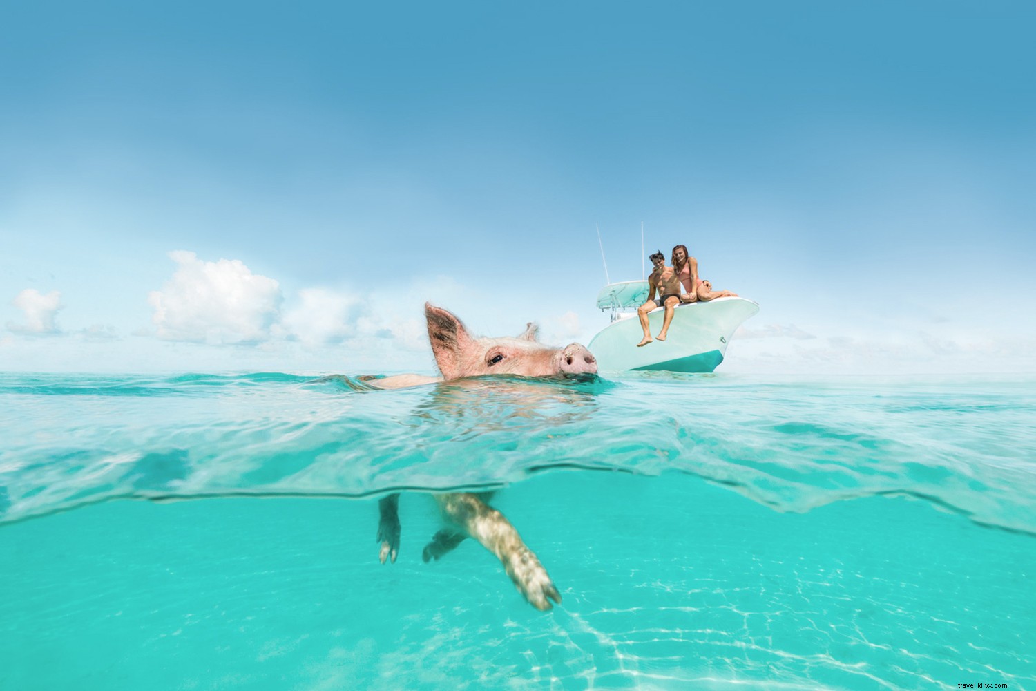 Discover Your Perfect Island in The Bahamas: Paradise Just Steps from the U.S.