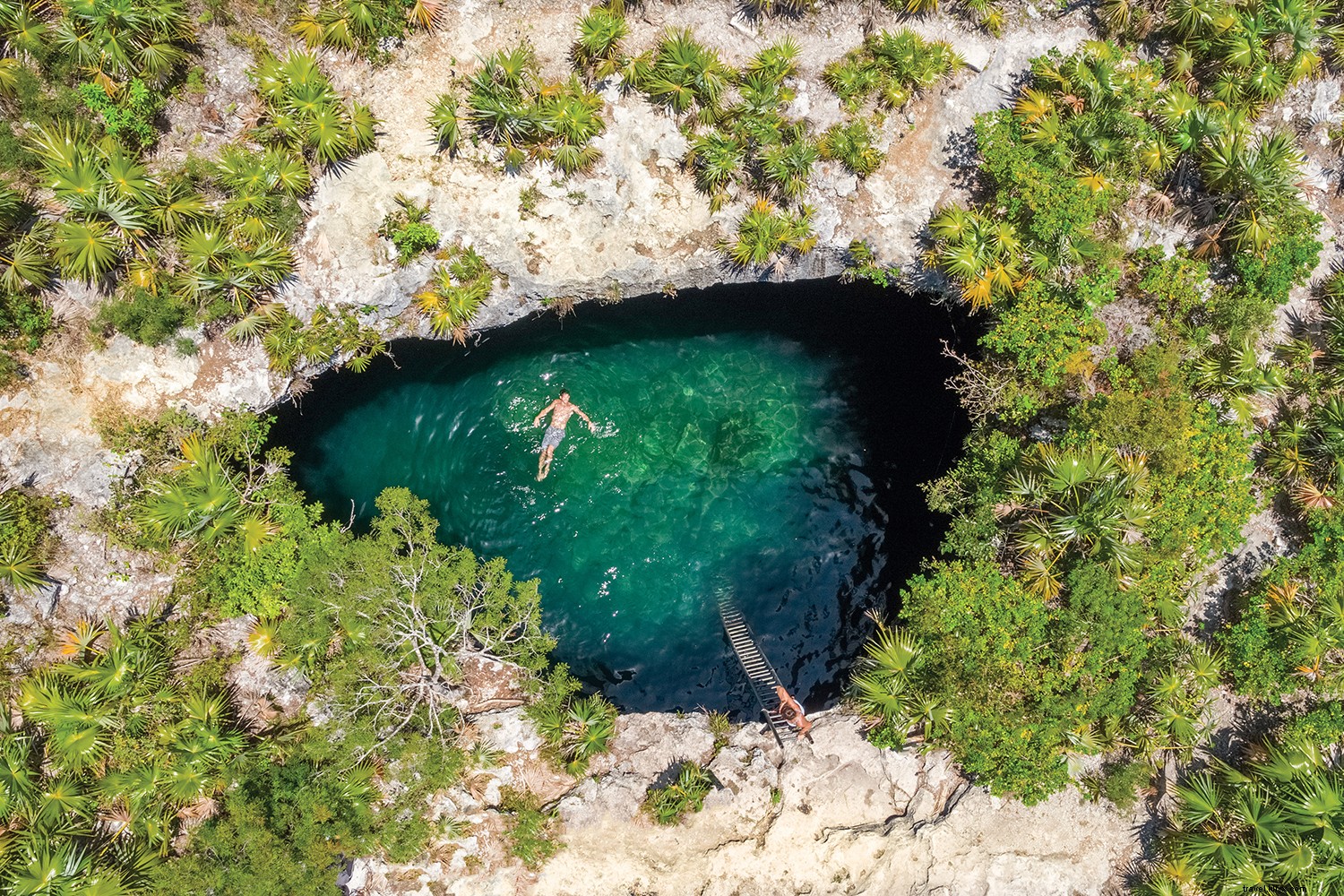 Discover Your Perfect Island in The Bahamas: Paradise Just Steps from the U.S.