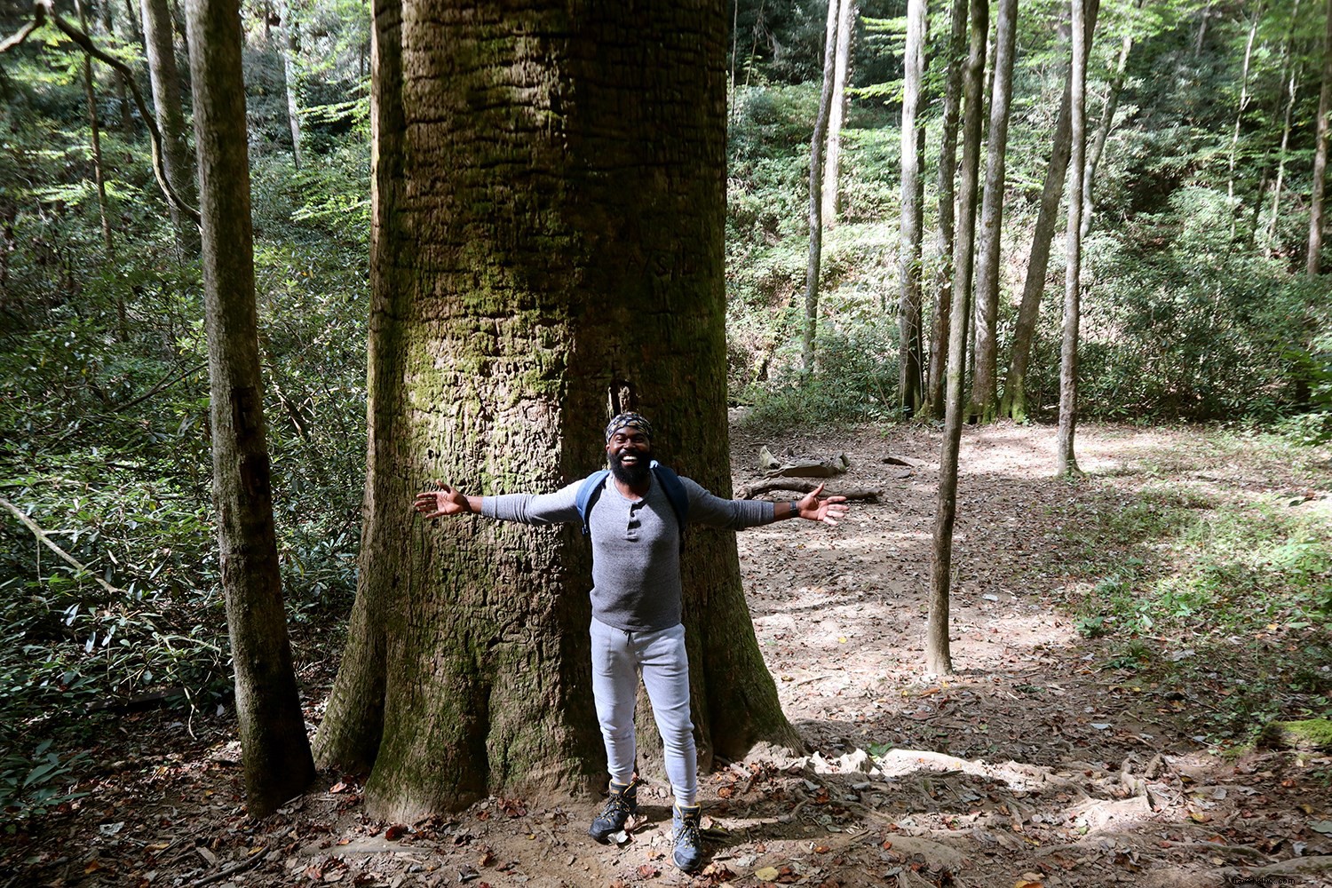 North Georgia Mountains Road Trip: Waterfalls, Hiking, Glamping & Vegan Eats from Atlanta