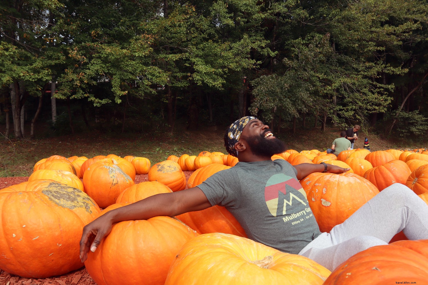 North Georgia Mountains Road Trip: Waterfalls, Hiking, Glamping & Vegan Eats from Atlanta