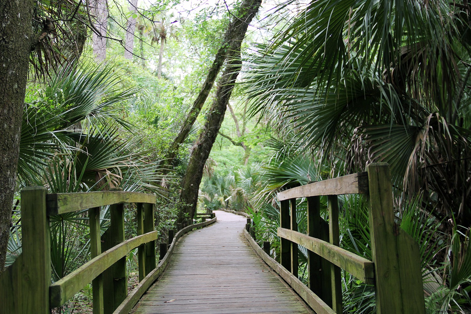 Discover Ocala/Marion County: Florida s Eco-Friendly Family Stopover