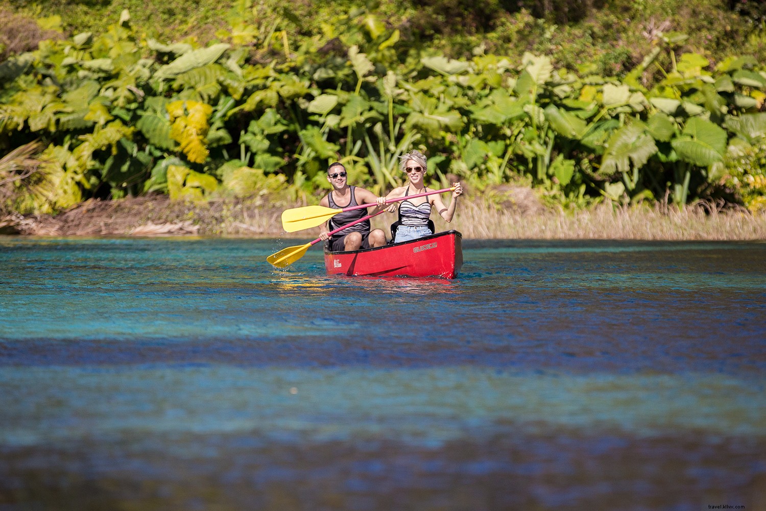 Discover Ocala/Marion County: Florida s Eco-Friendly Family Stopover