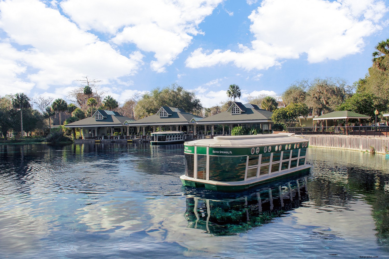 Discover Ocala/Marion County: Florida s Eco-Friendly Family Stopover