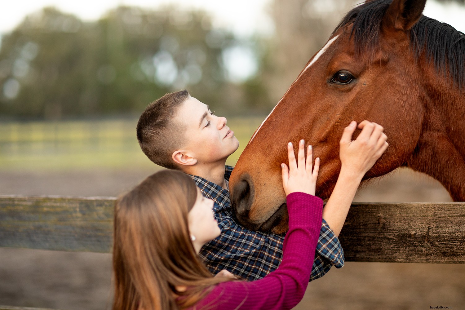 Discover Ocala/Marion County: Florida s Eco-Friendly Family Stopover