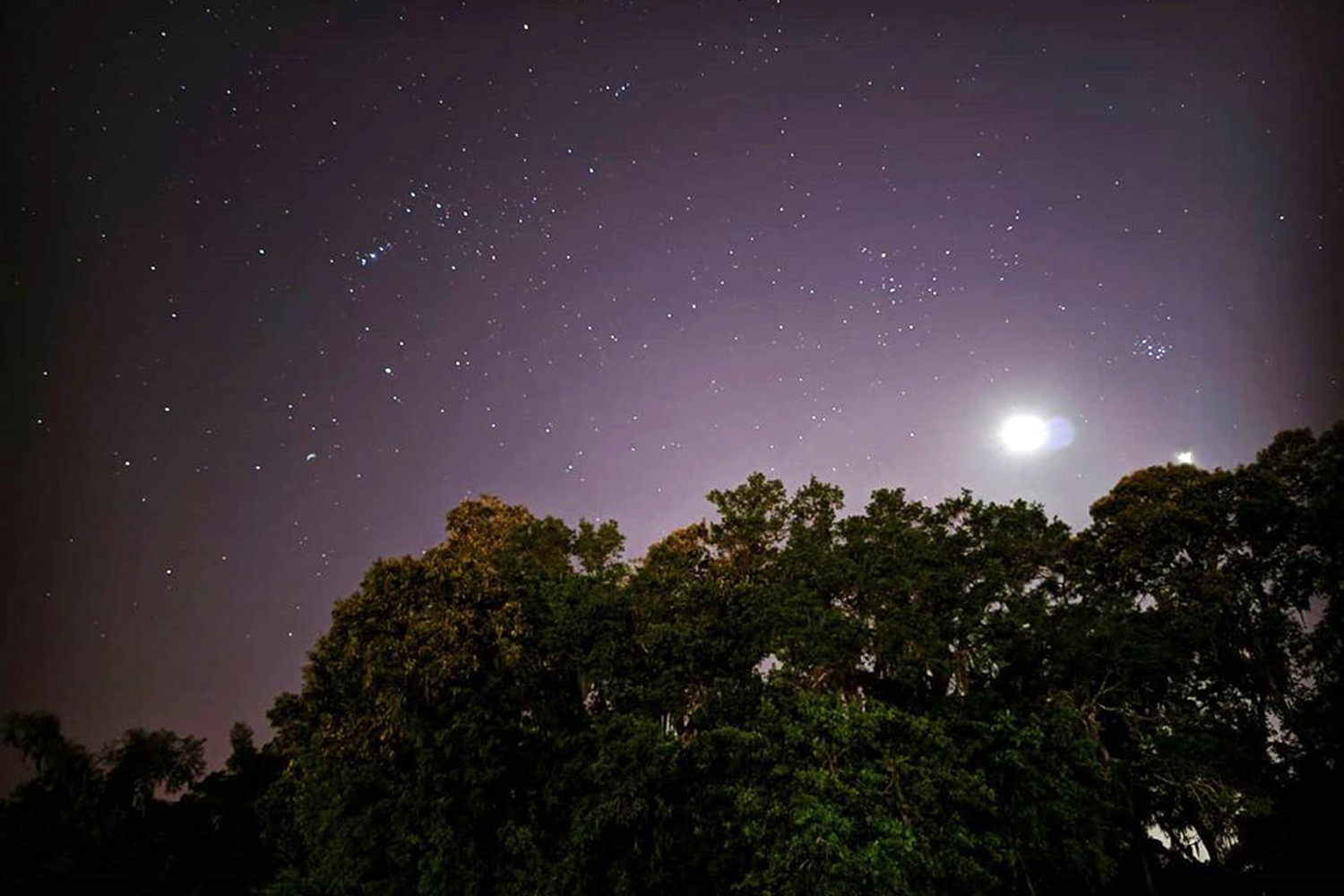 Discover Ocala/Marion County: Florida s Eco-Friendly Family Stopover