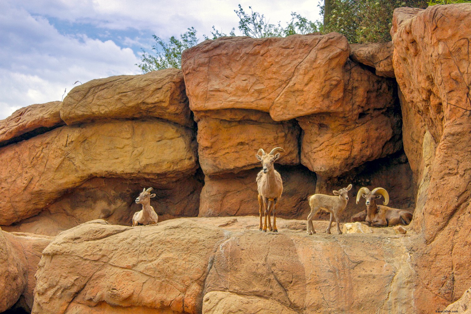 21 Epic Arizona Outdoor Adventures for Every Skill Level: From Easy Escapes to Extreme Thrills