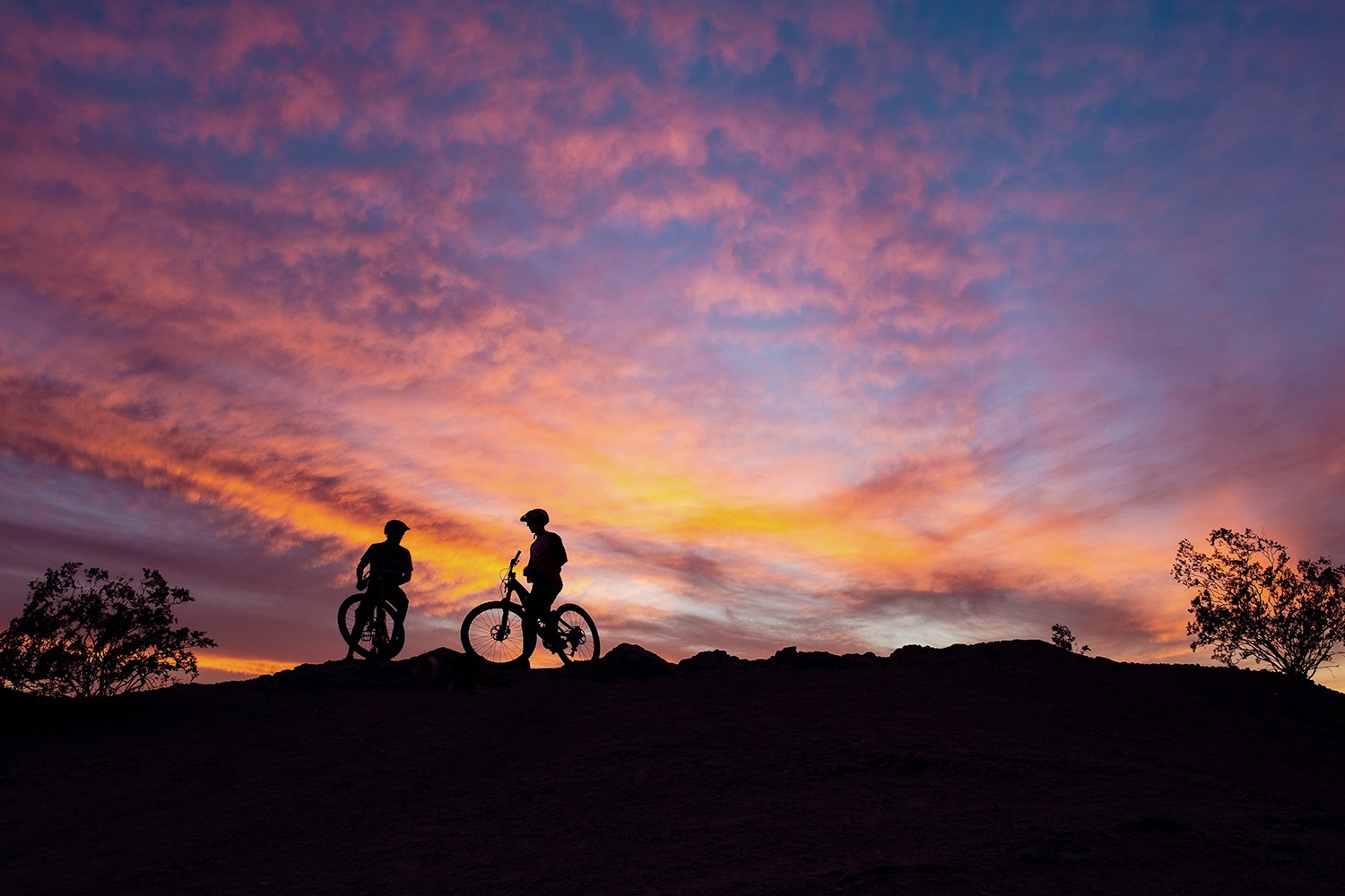 21 Epic Arizona Outdoor Adventures for Every Skill Level: From Easy Escapes to Extreme Thrills