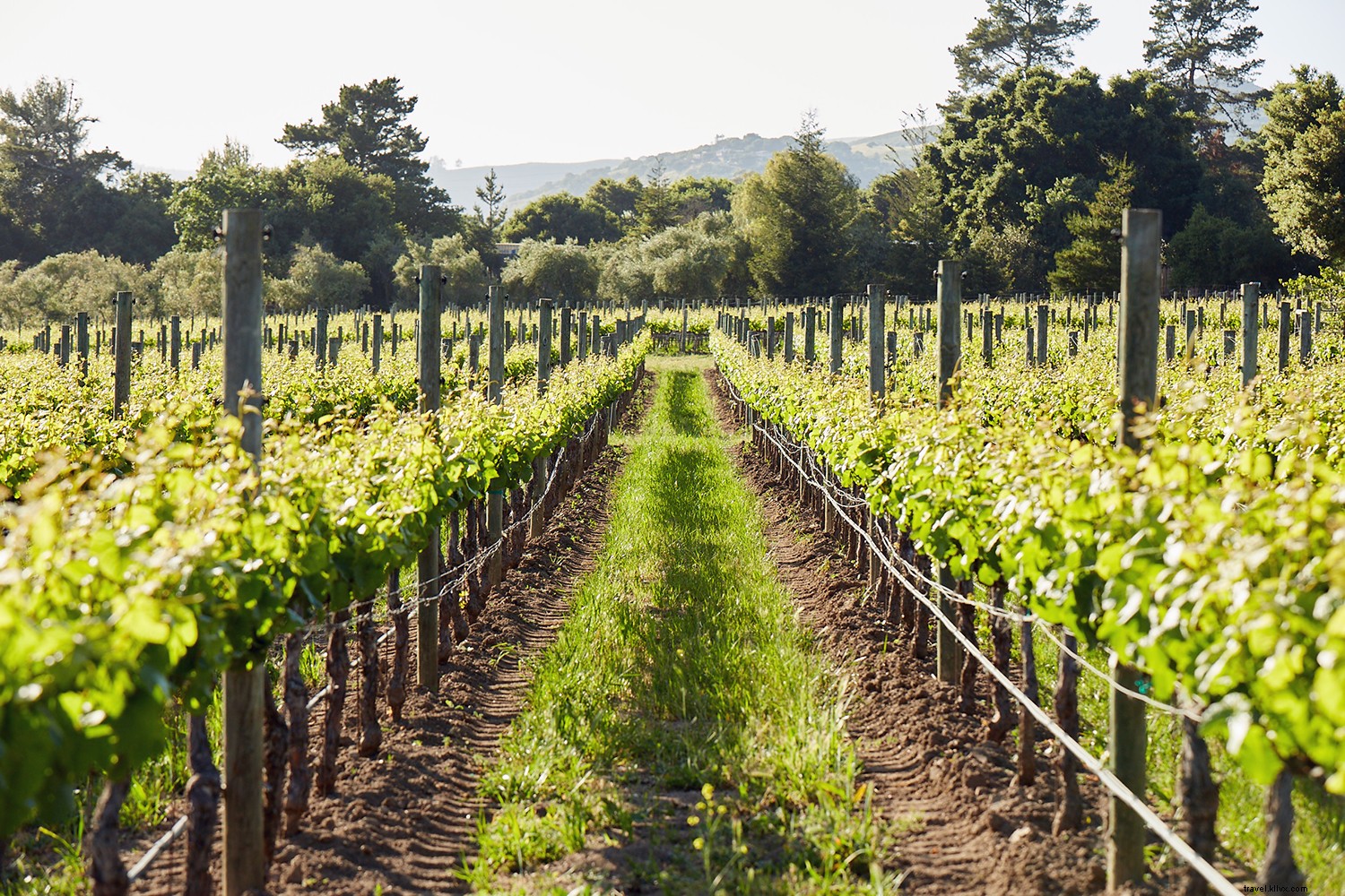 7 Essential Lessons You ll Learn on a Monterey County Field Trip