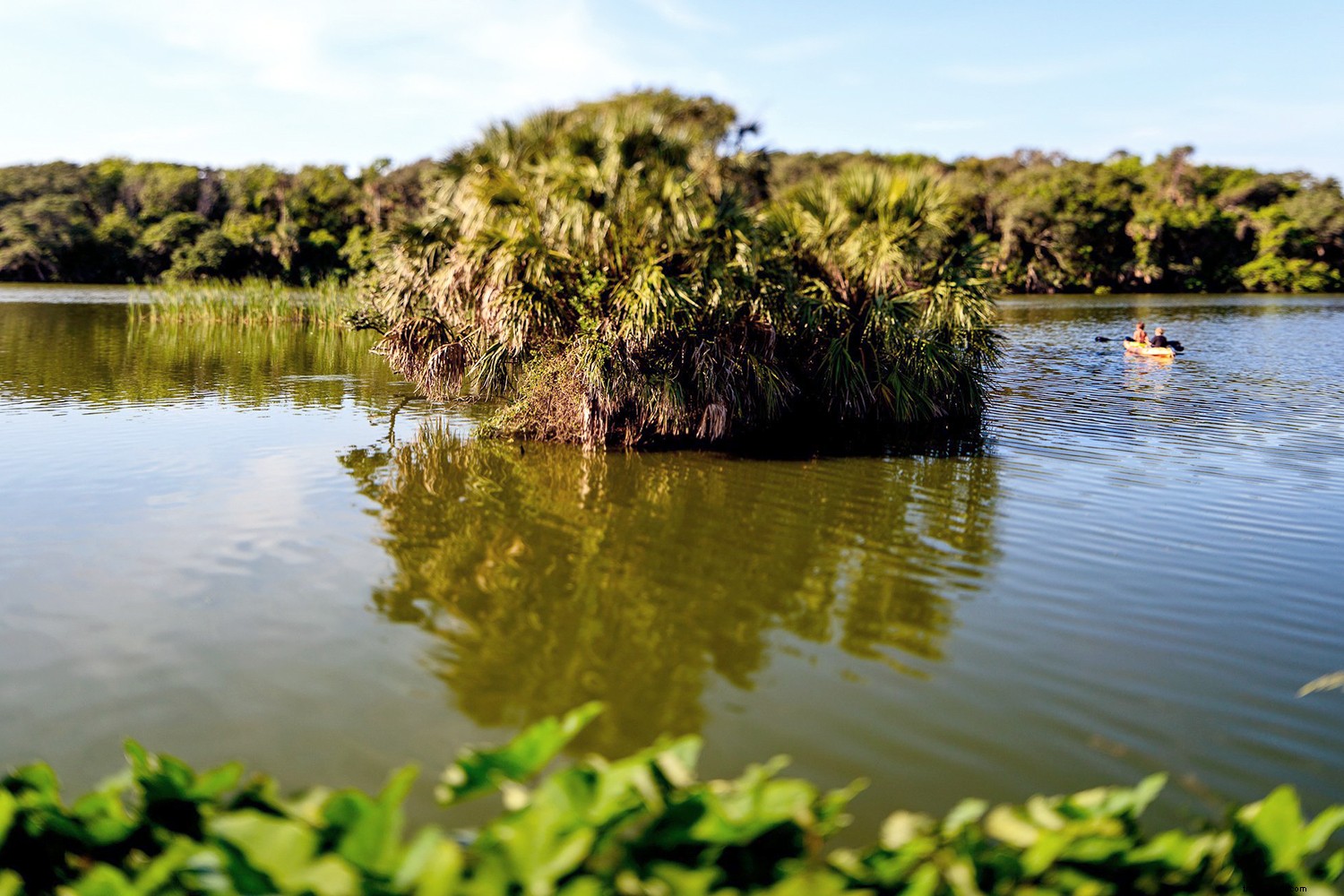 Jacksonville: Effortless Vacations with Endless Beaches, Parks, and Outdoor Adventures