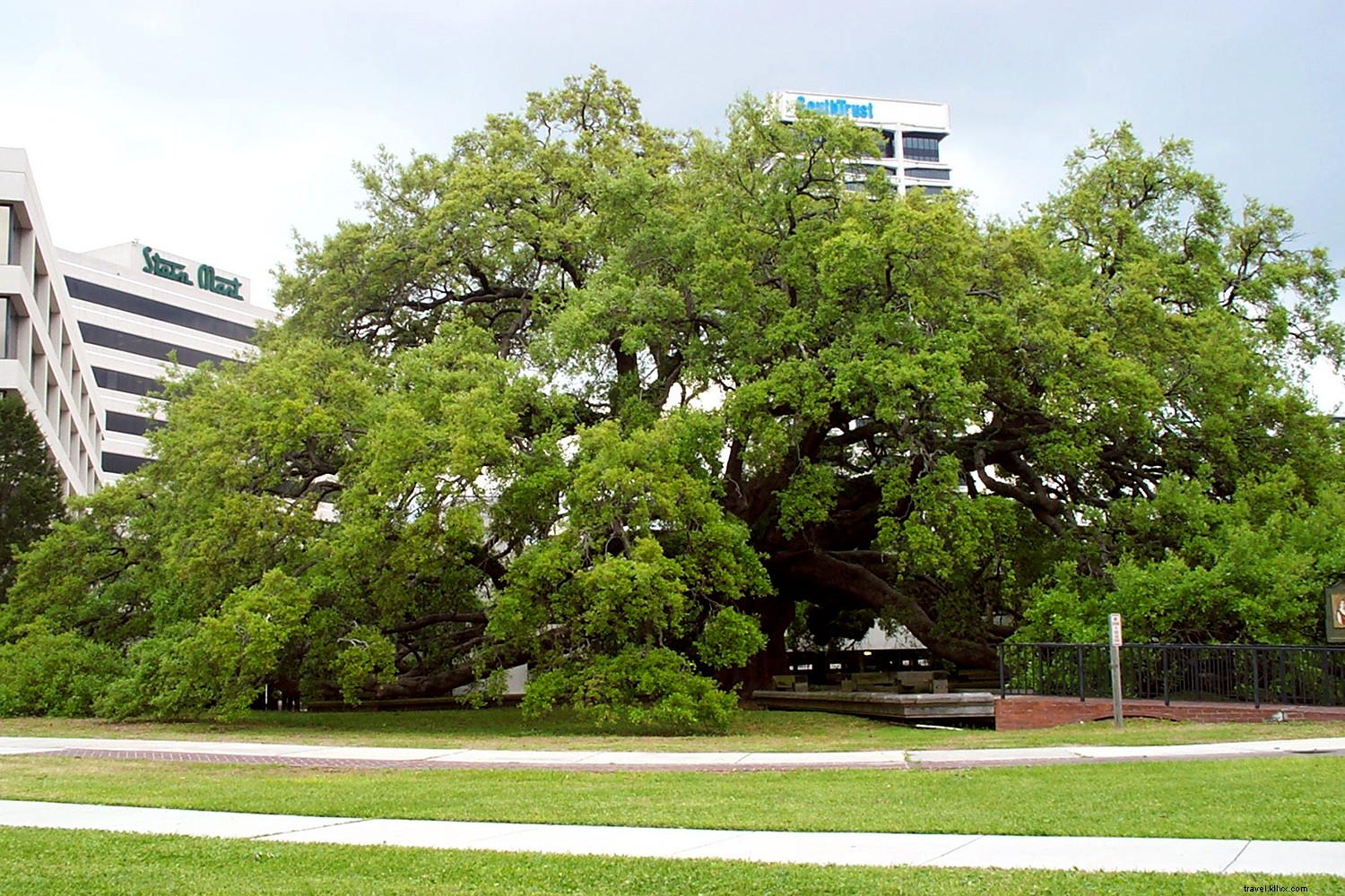 Jacksonville: Effortless Vacations with Endless Beaches, Parks, and Outdoor Adventures