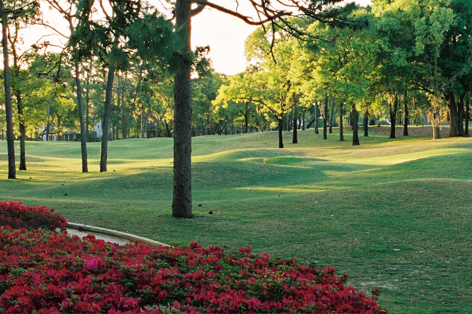 Jacksonville: Effortless Vacations with Endless Beaches, Parks, and Outdoor Adventures