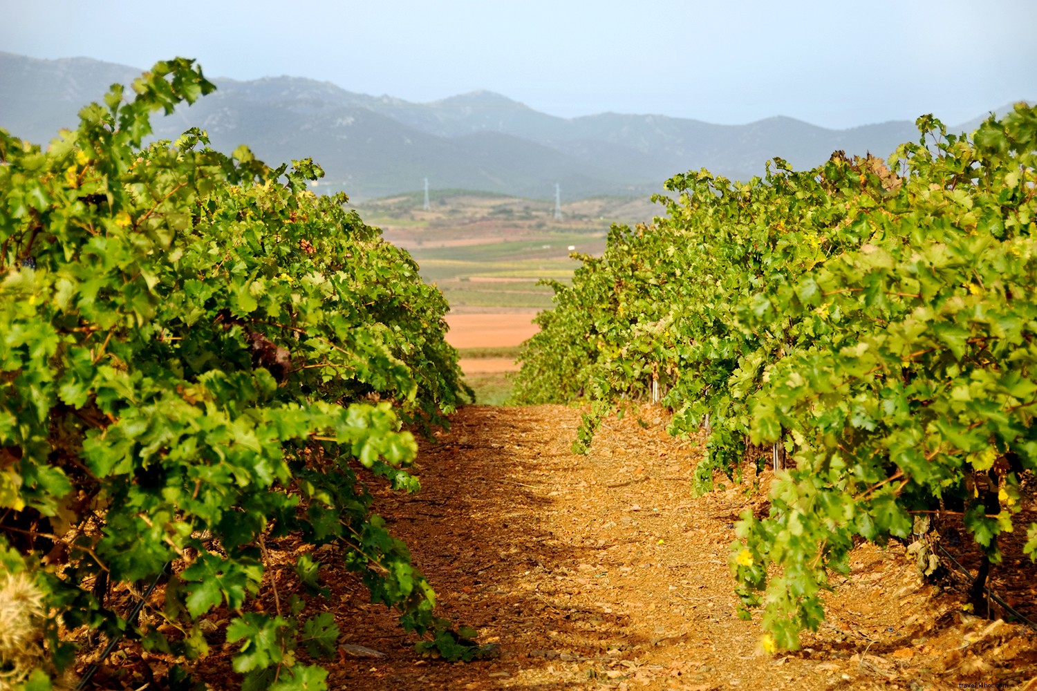 9 Exceptional Lesser-Known Wine Destinations Worldwide