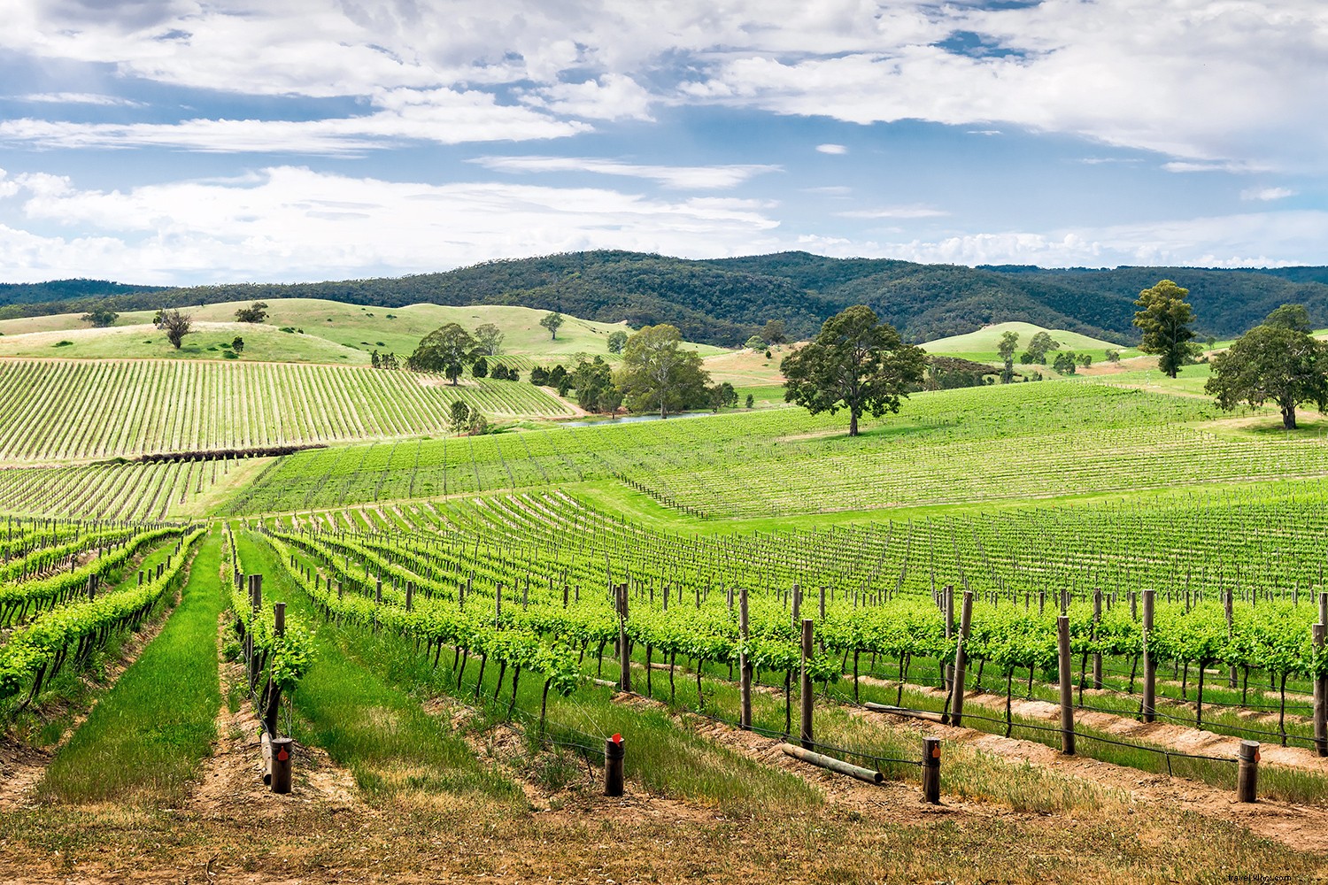 9 Exceptional Lesser-Known Wine Destinations Worldwide