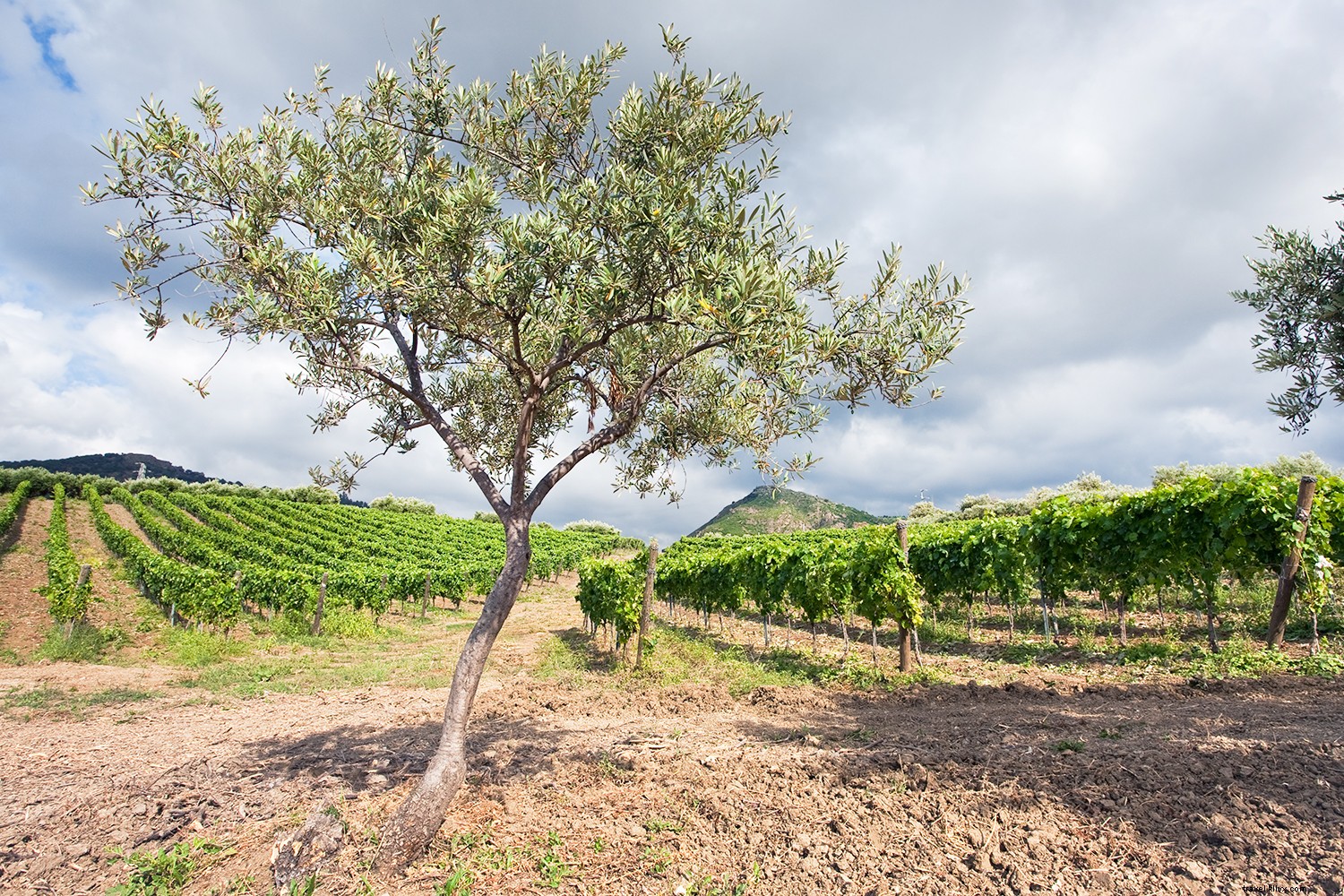 9 Exceptional Lesser-Known Wine Destinations Worldwide