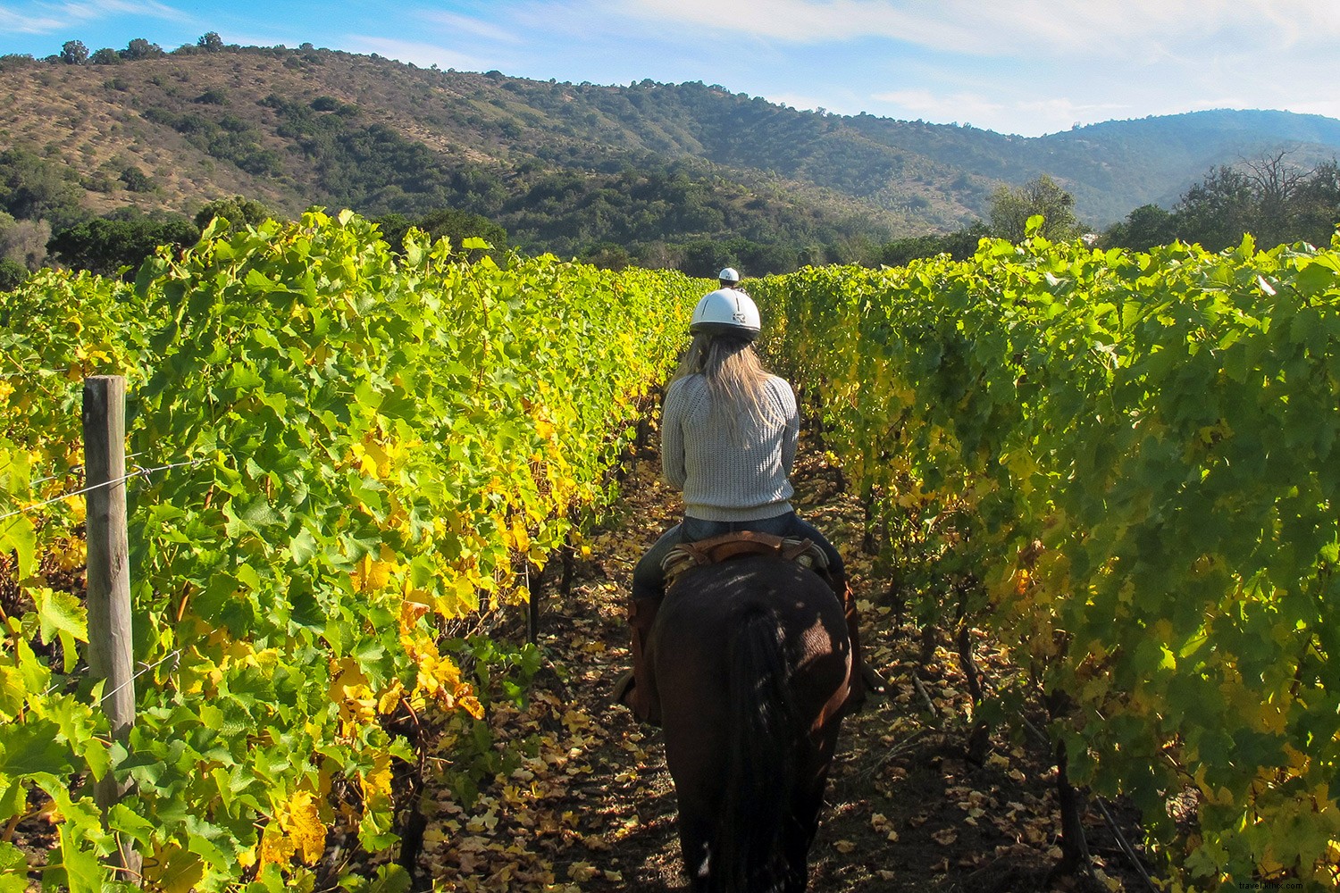 9 Exceptional Lesser-Known Wine Destinations Worldwide