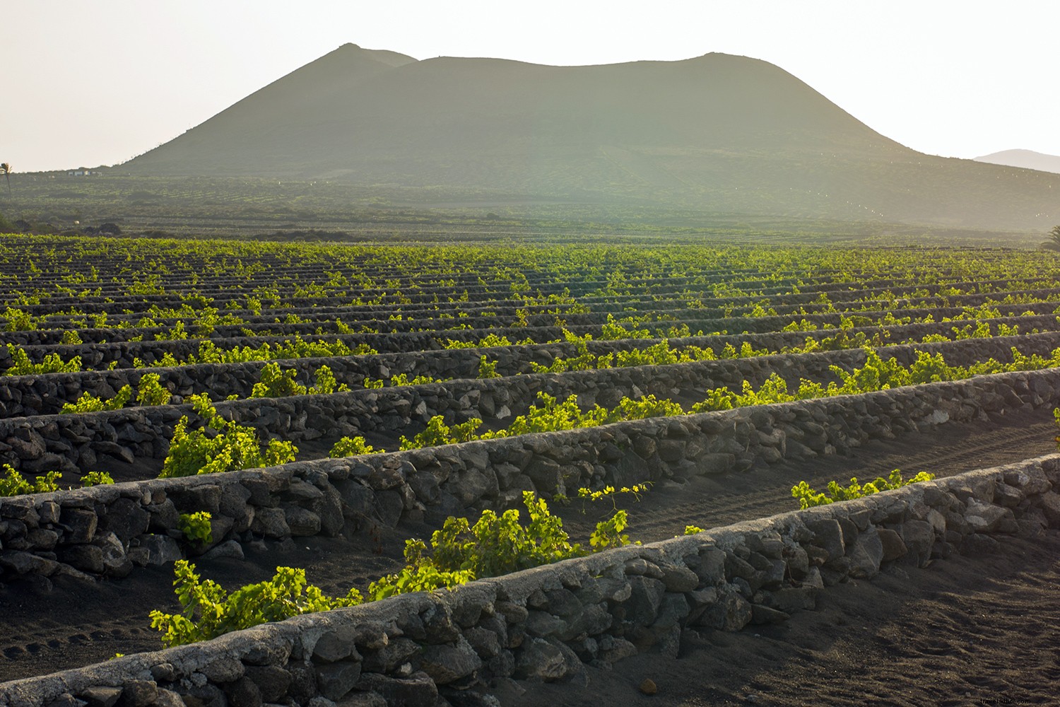 9 Exceptional Lesser-Known Wine Destinations Worldwide